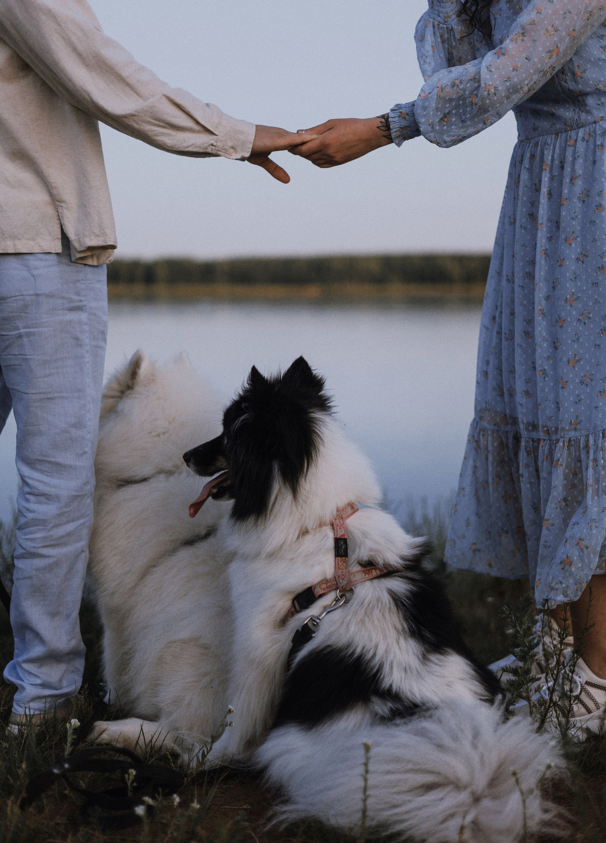 Валерия, Илья, Вита и Умка. Фотограф-анималист Богданова Полина