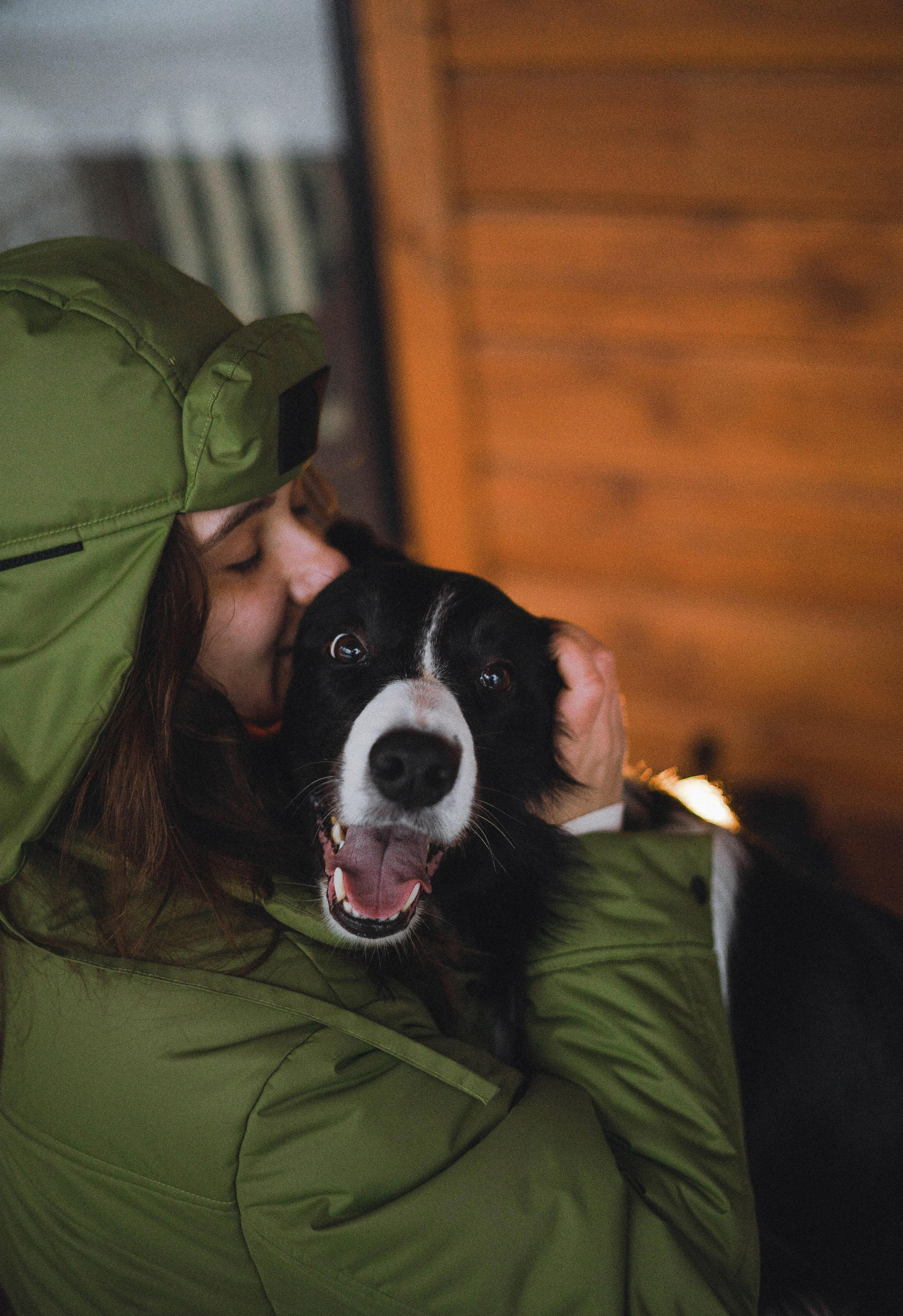 Маша, Рэм и Ньютон. Фотограф-анималист Богданова Полина