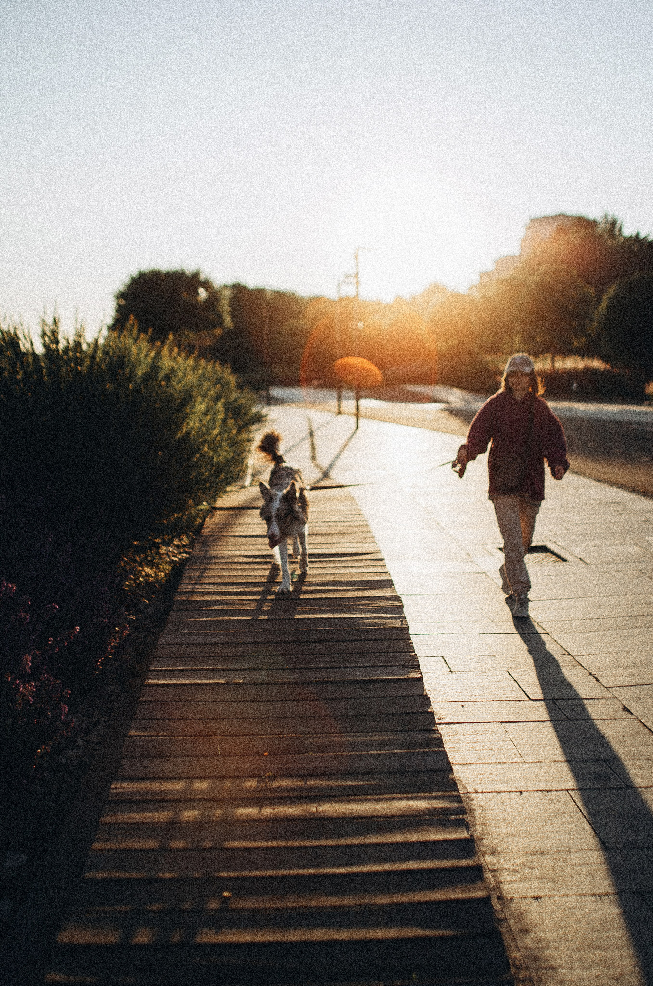 Аня и Дэймон. Фотограф-анималист Богданова Полина