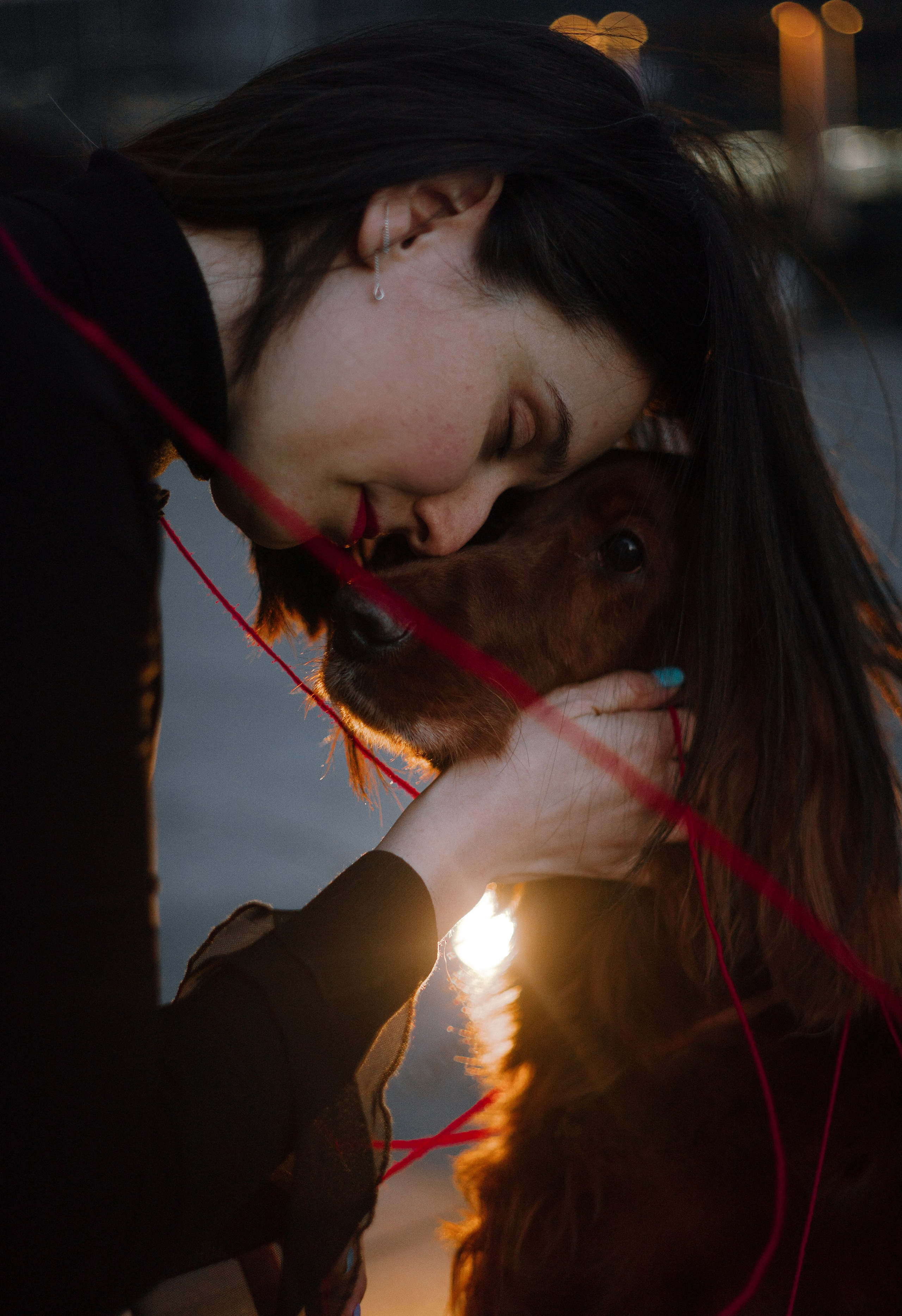 Маша и Лика. Фотограф-анималист Богданова Полина