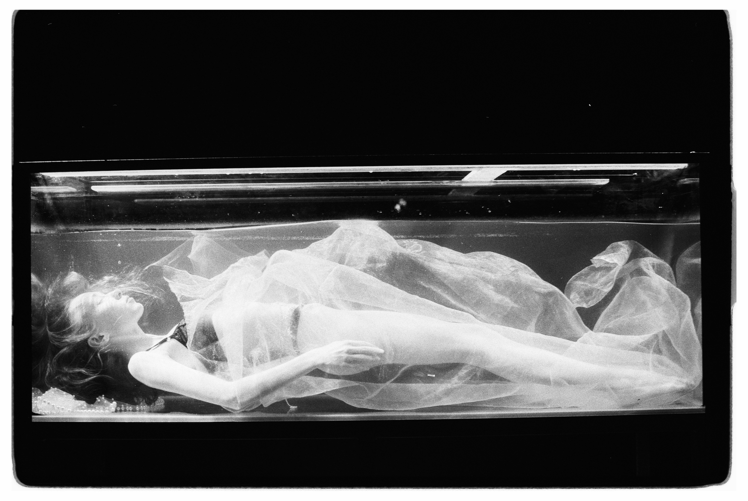 Swimming Beauty. Фотограф Александр Медведев