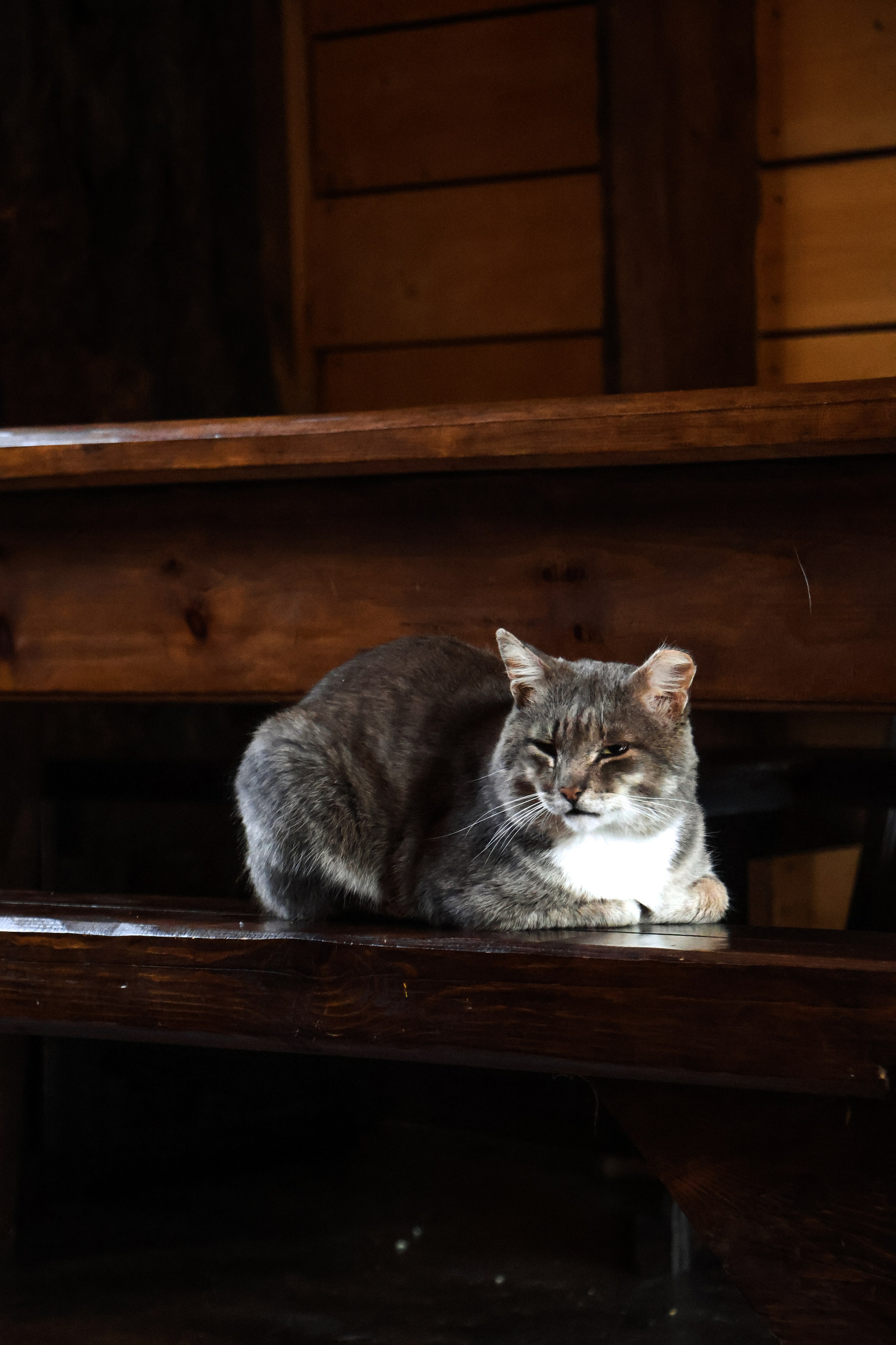 «Территория счастья» кафе, респ. Алтай. Контент фотограф Дмитрий Борисов