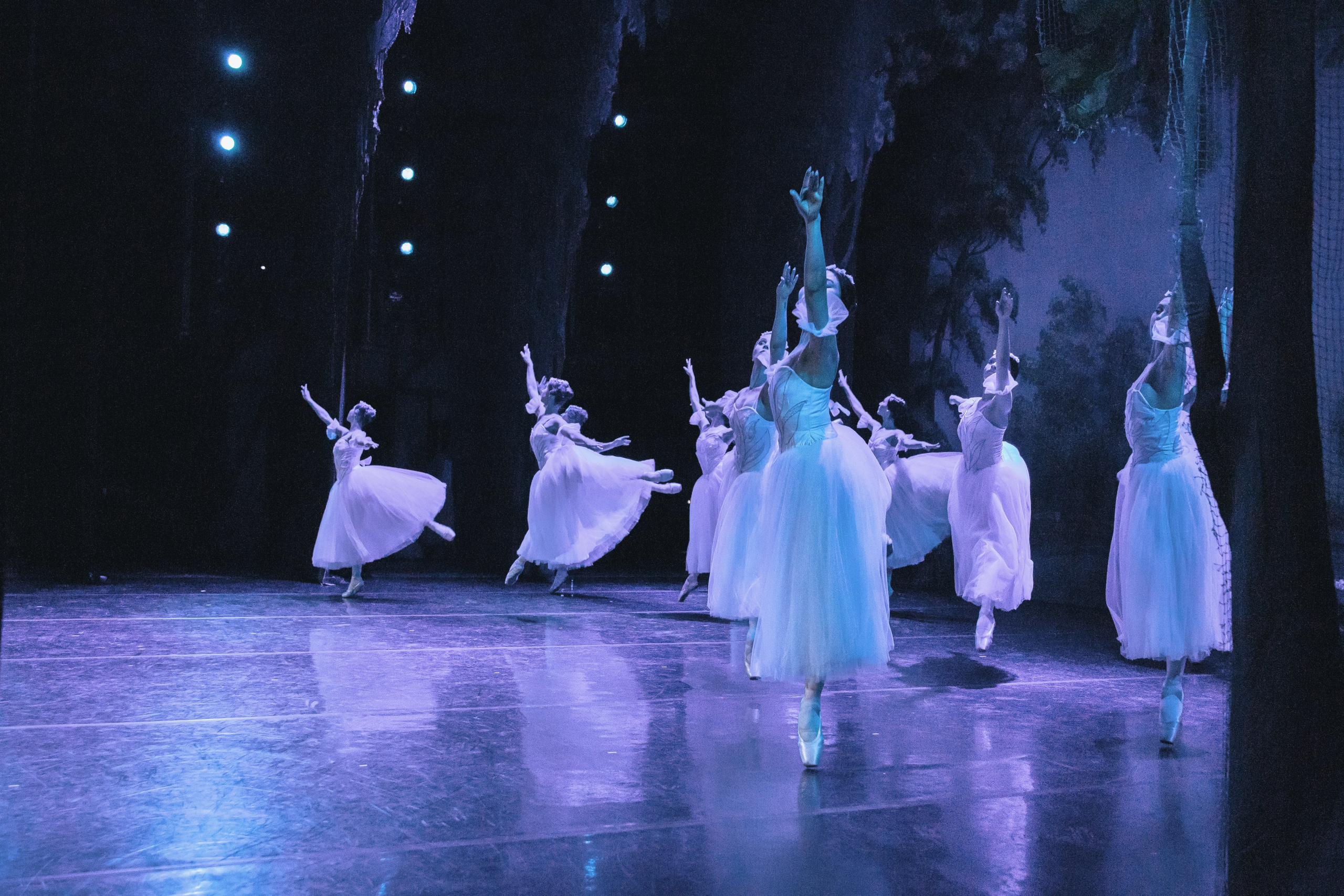 Концерты. Семейный фотограф в Абакане Любовь Халявина