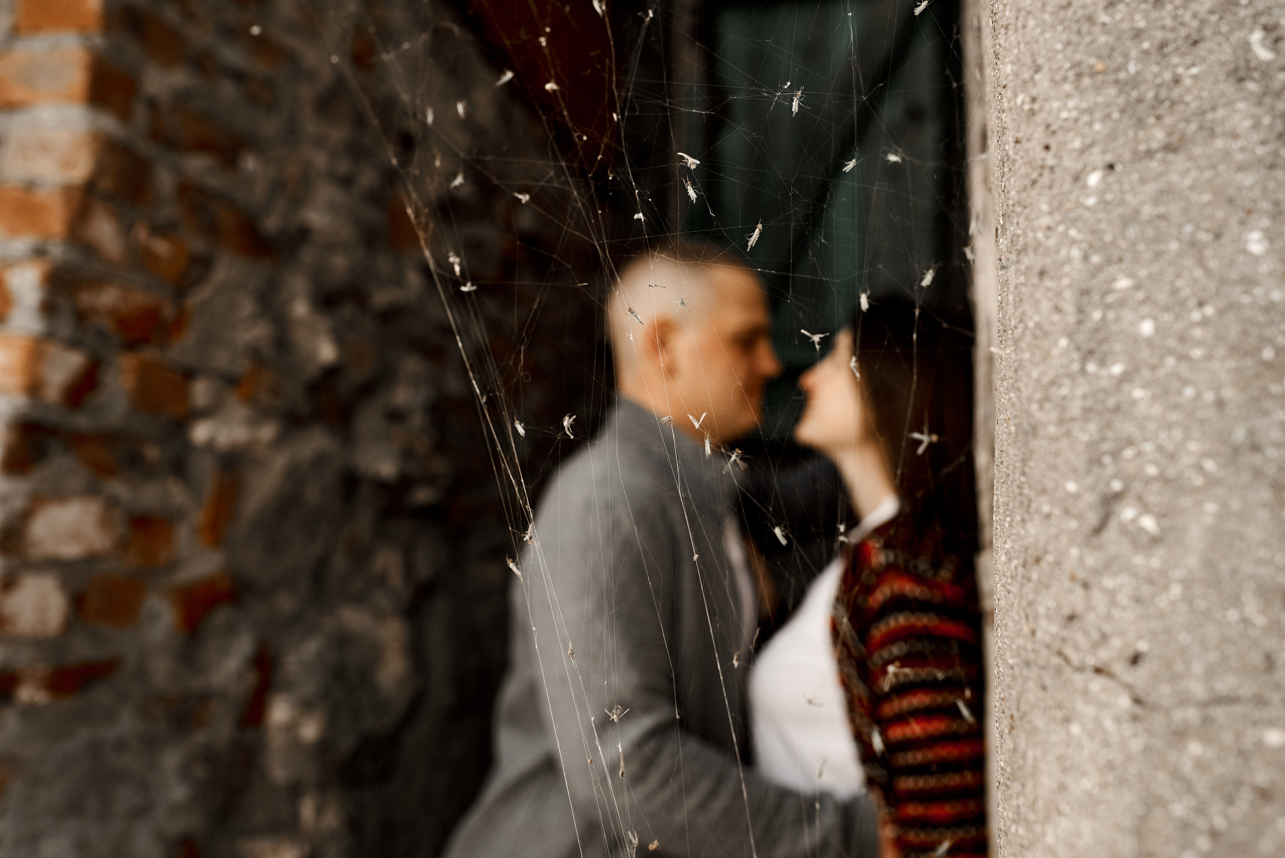 Маша и Витя. Свадебный фотограф г. Новочеркасск г. Ростов-на-Дону