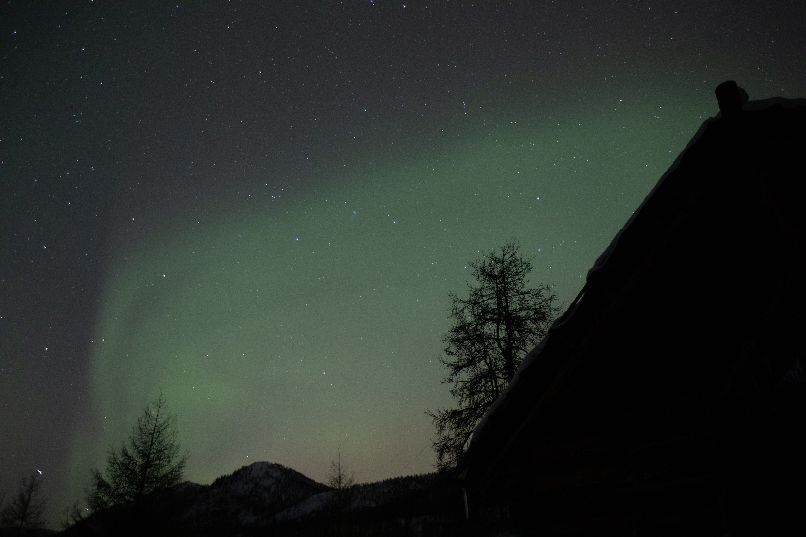Не забудь накормить озеро. Natalya Madilyan