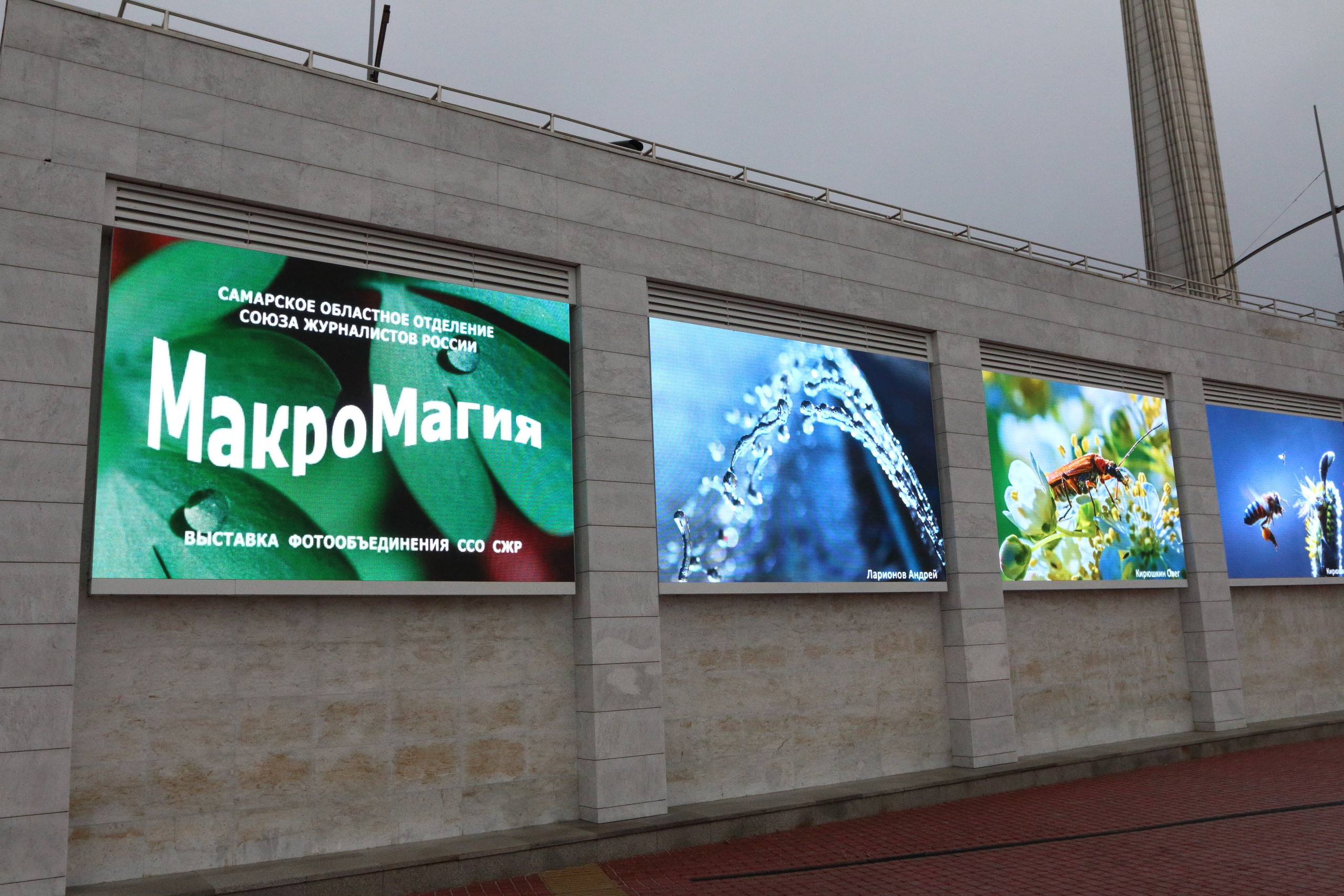 03.10.2021 Выставка «МакроМагия». Фотообъединение Самарского областного отделения Союза журналистов России