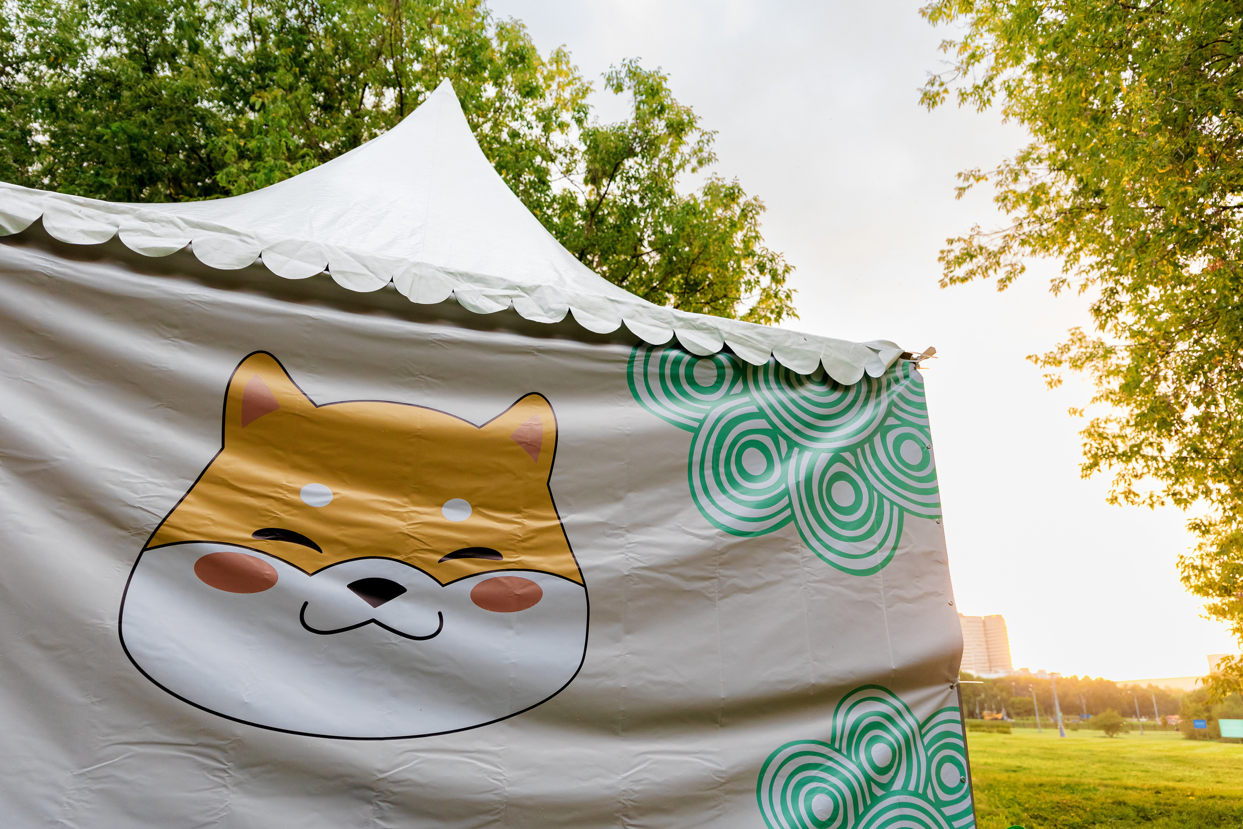 Фестиваль — Пикник Fitmost. Репортажный фотограф Семён Борисов | Москва