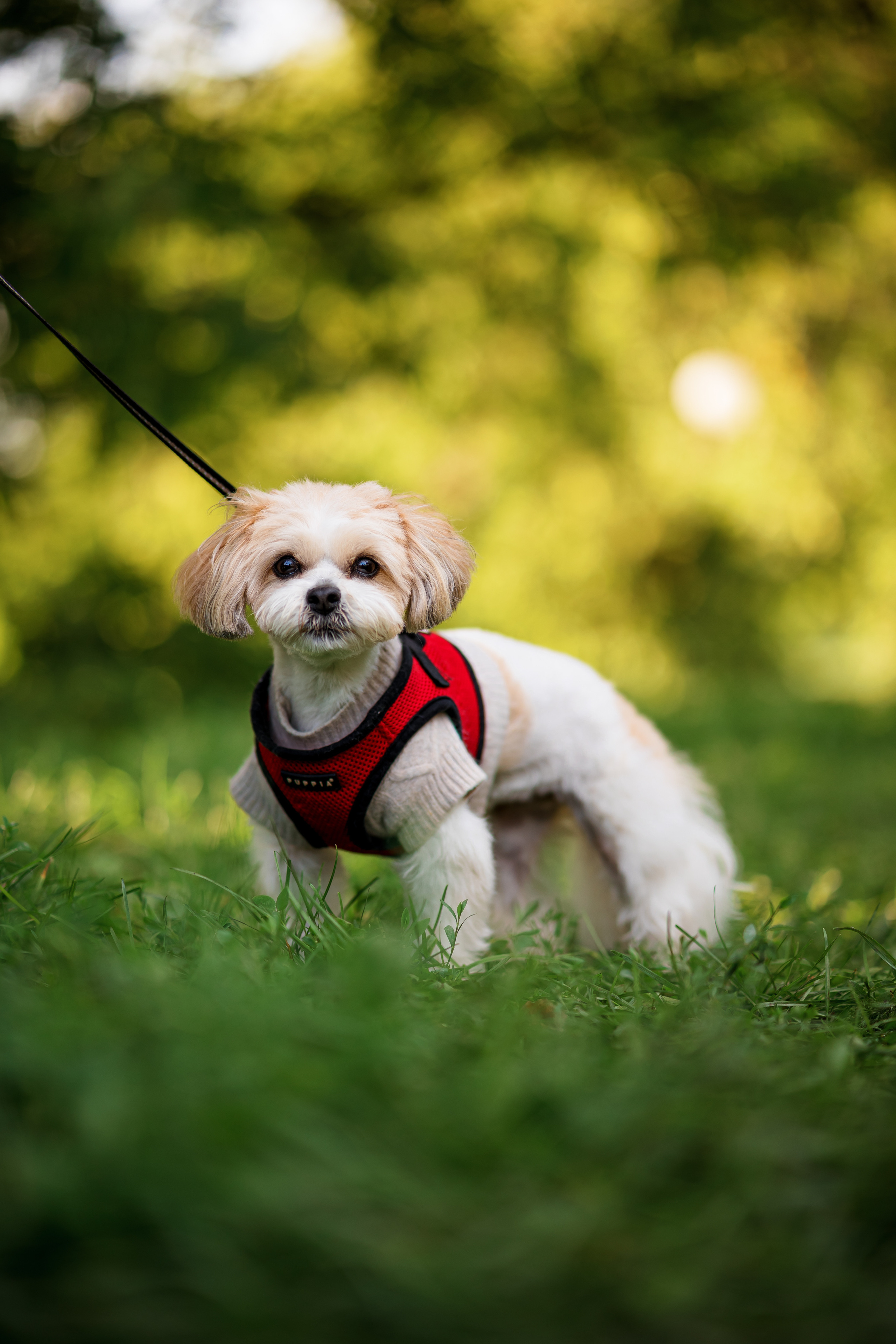 Фестиваль — Пикник Fitmost. Репортажный фотограф Семён Борисов | Москва
