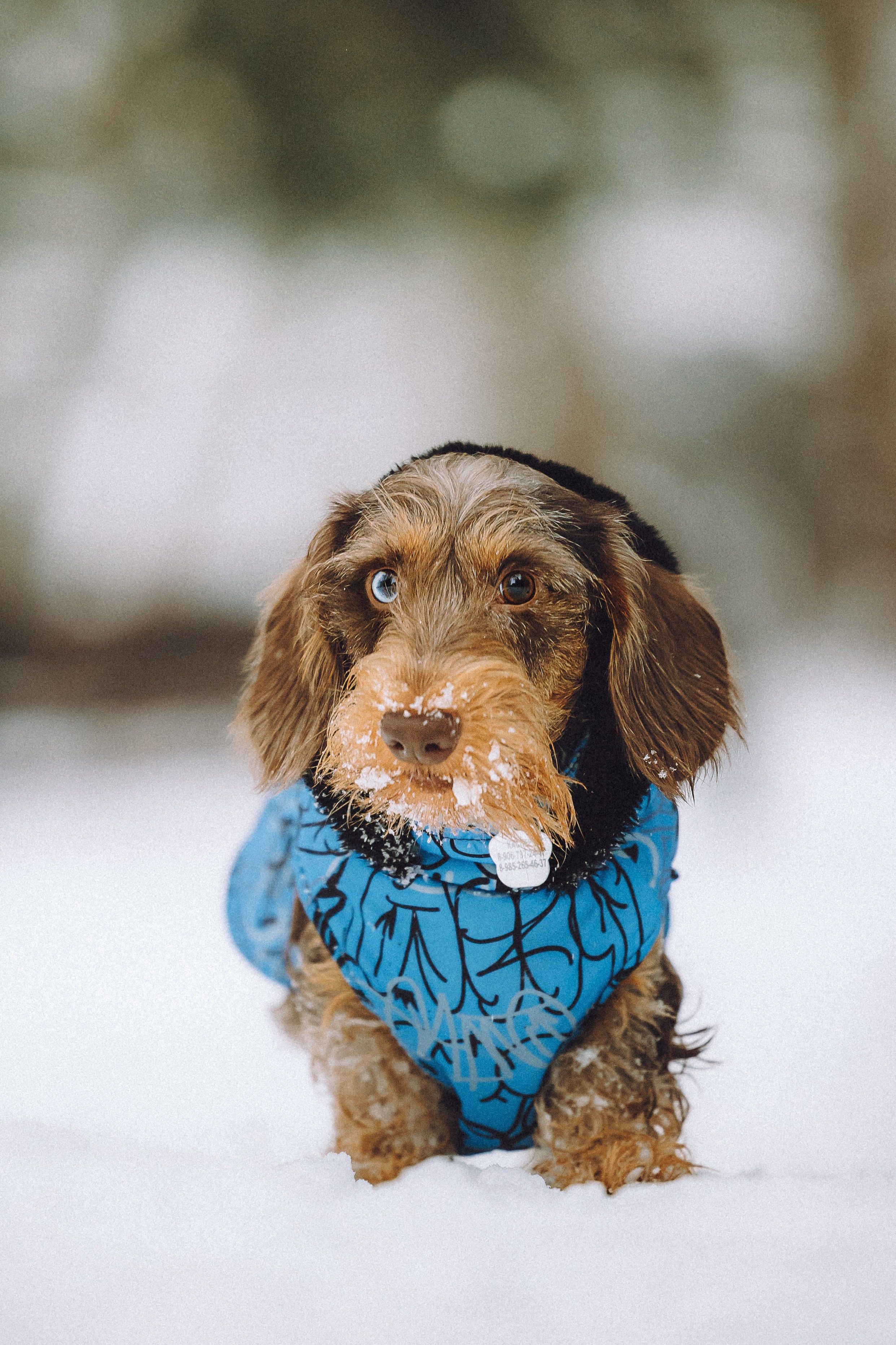 Каспер и его семья