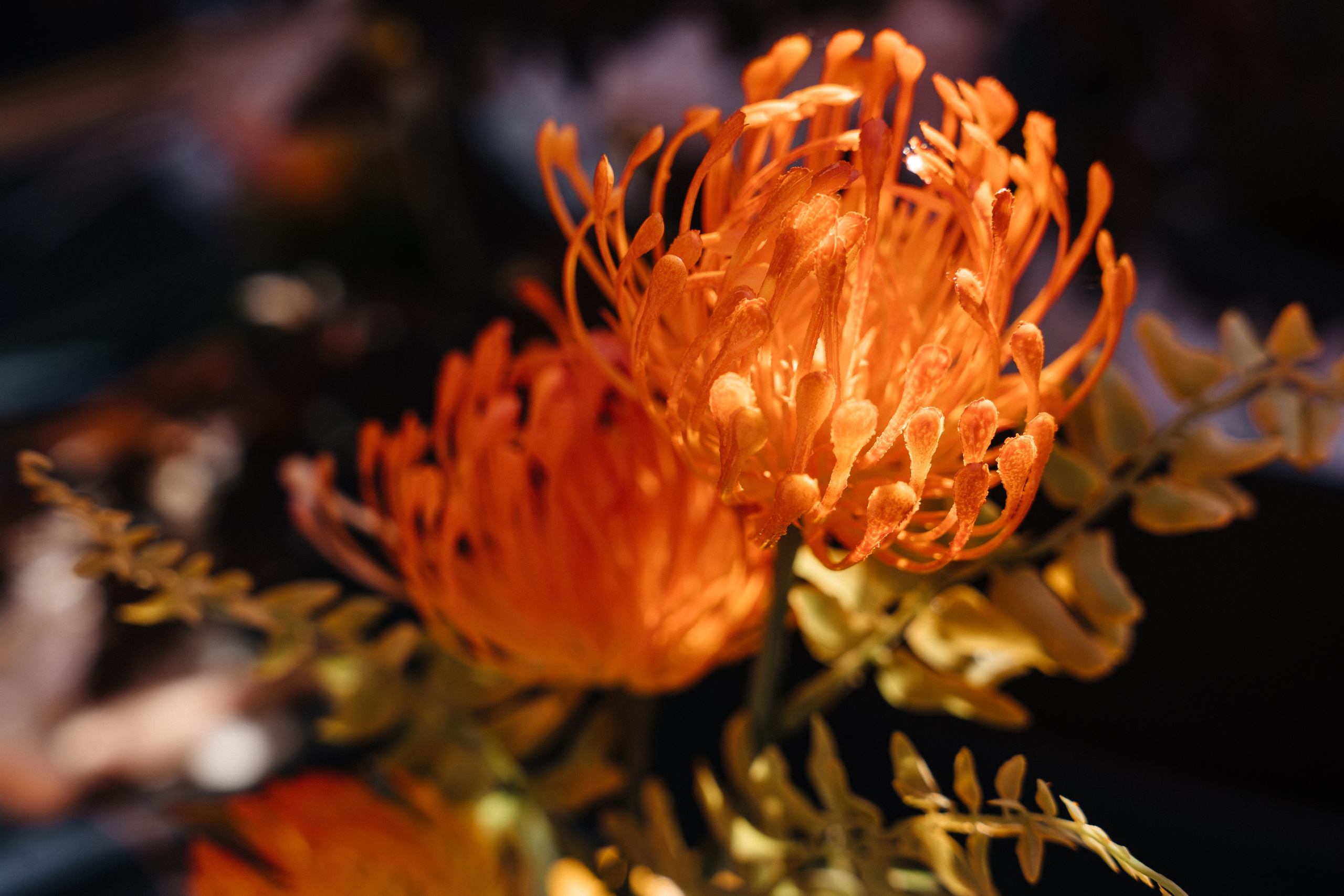 Саша и Настя. Фотограф Кирилл Бабий