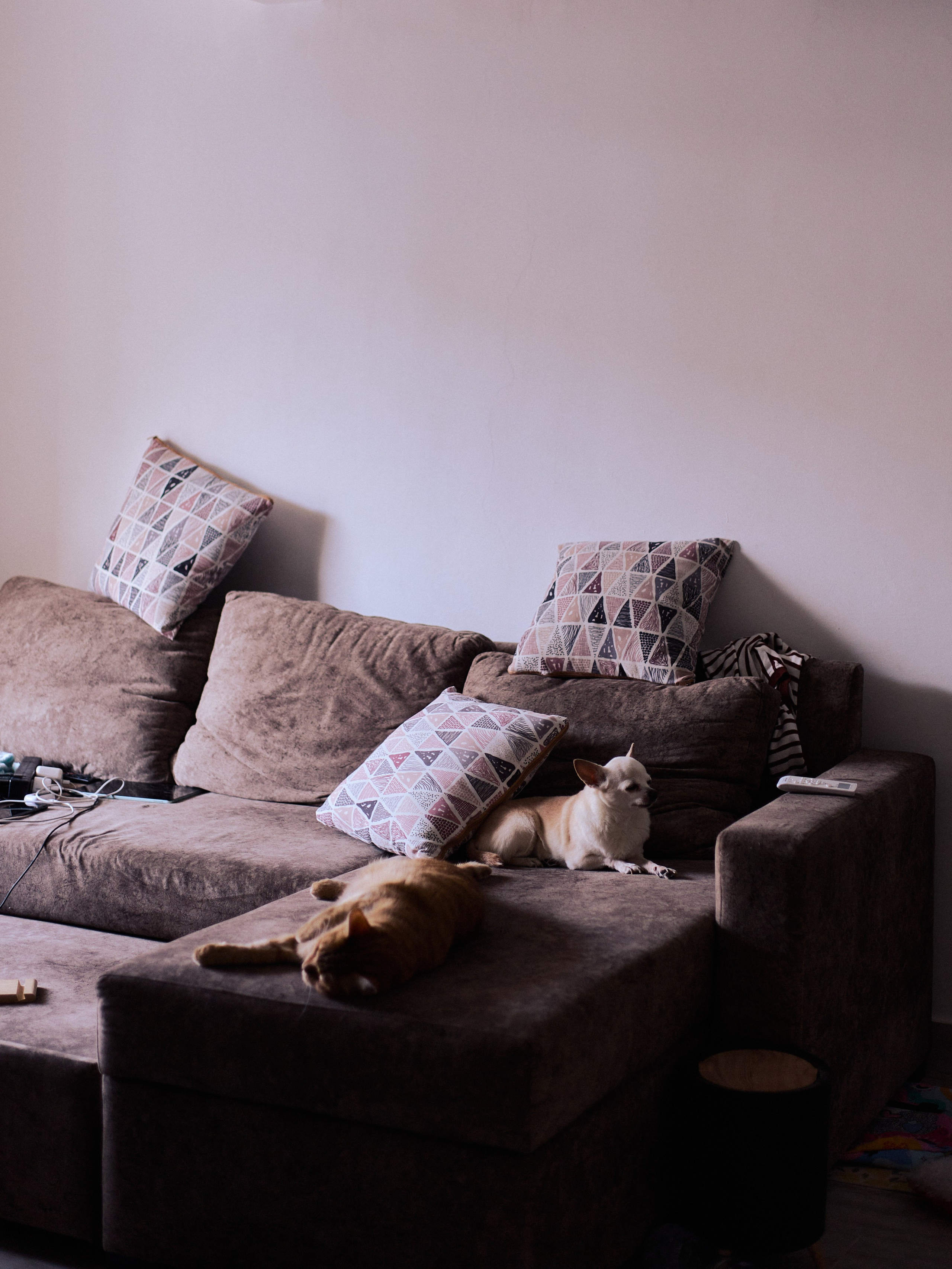 Другое 3. Jorgis Talè — photographer, kind person, teacher of arts and other mag