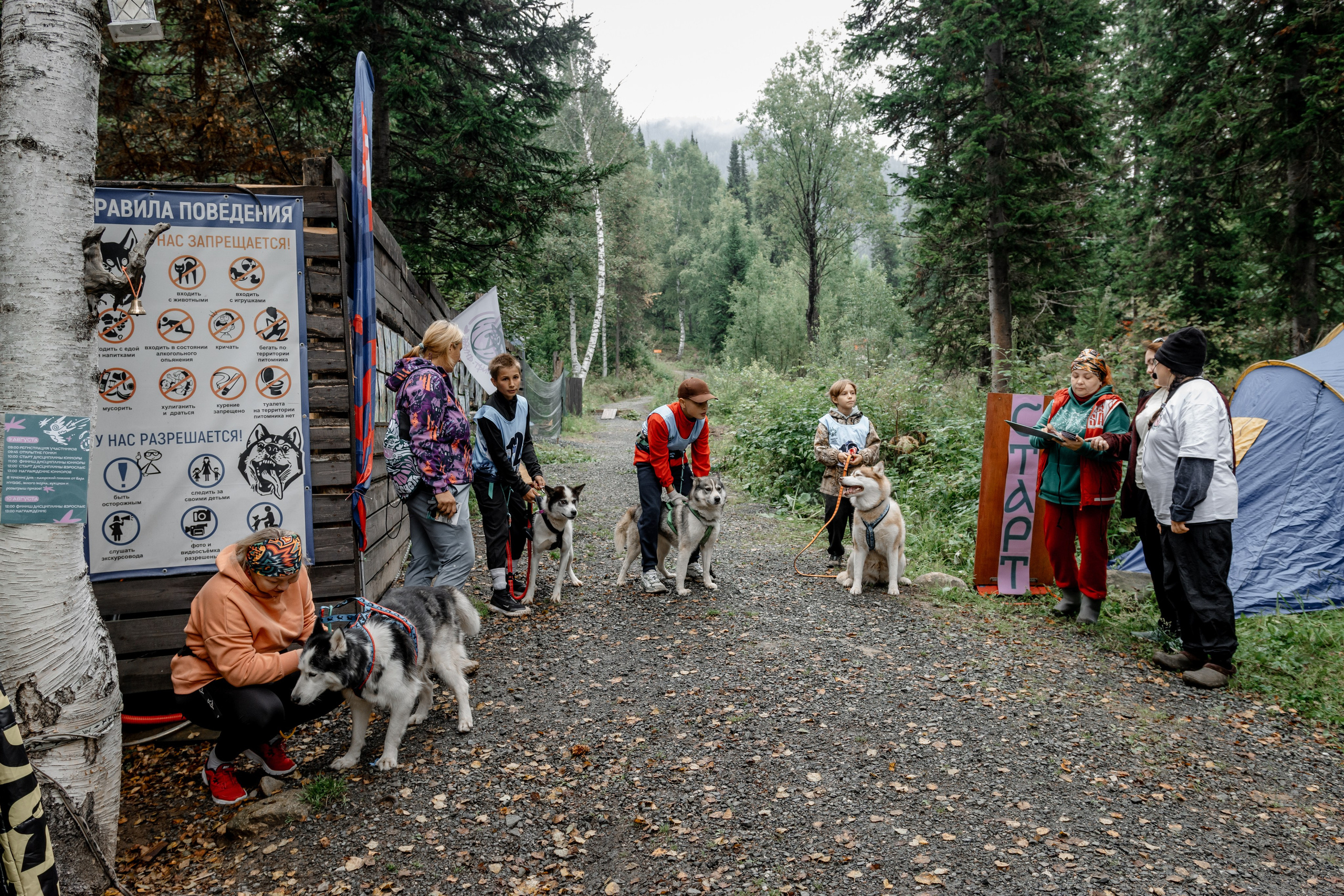 Дог-треккинг