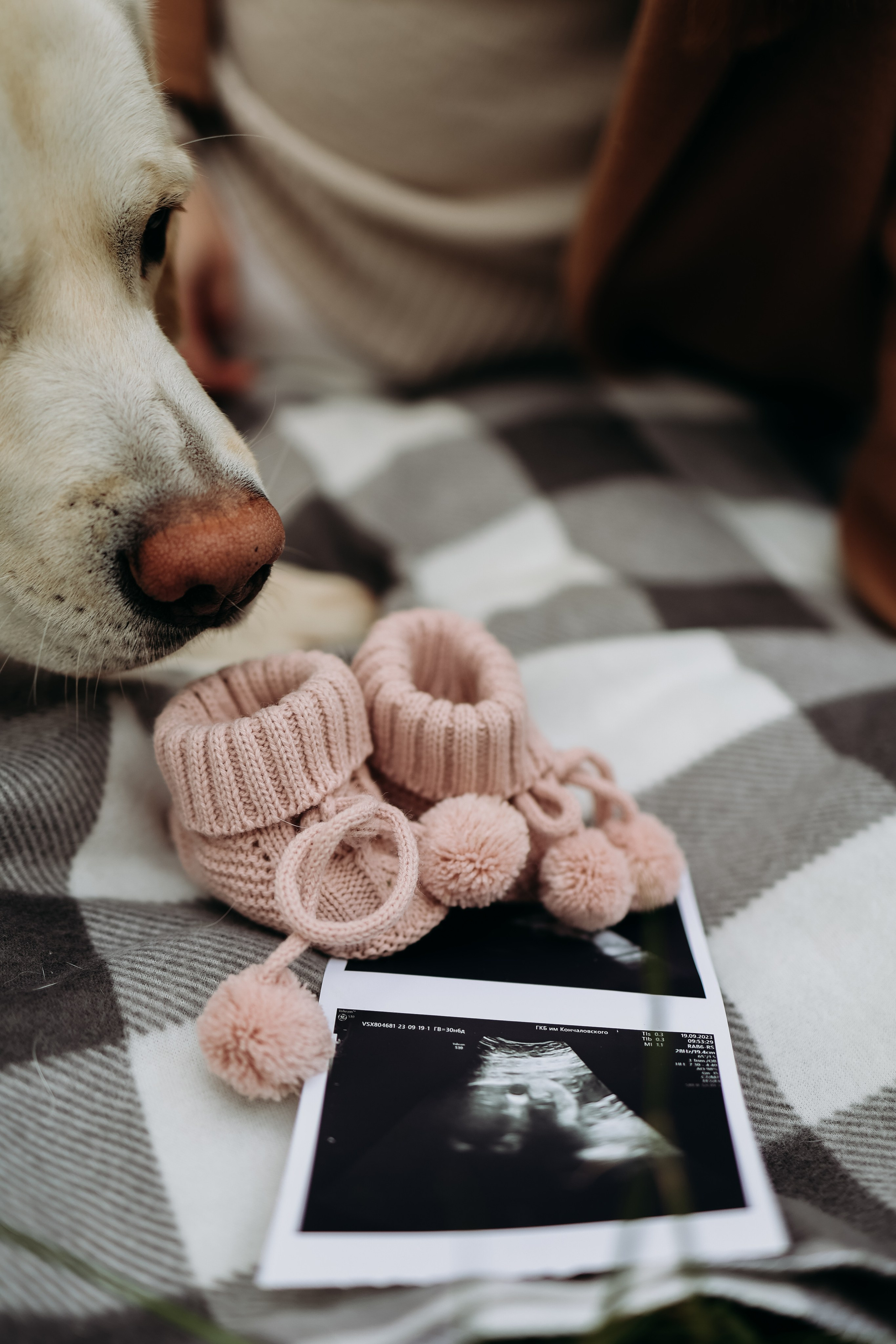 Беременность. Фотограф Юлия Говор