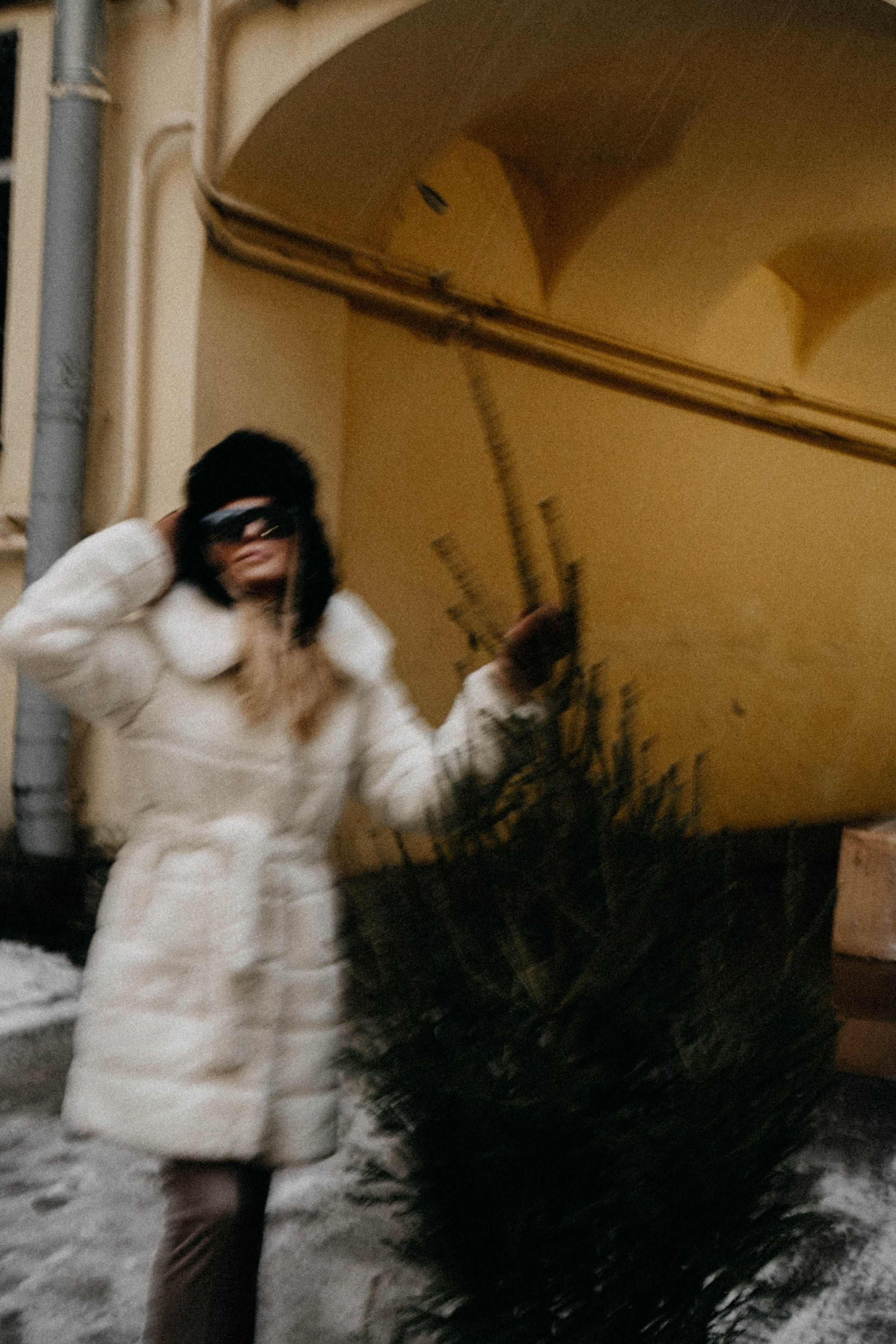 Новогодняя. Профессиональный фотограф, Санкт-Петербург — Виктория Богомолова