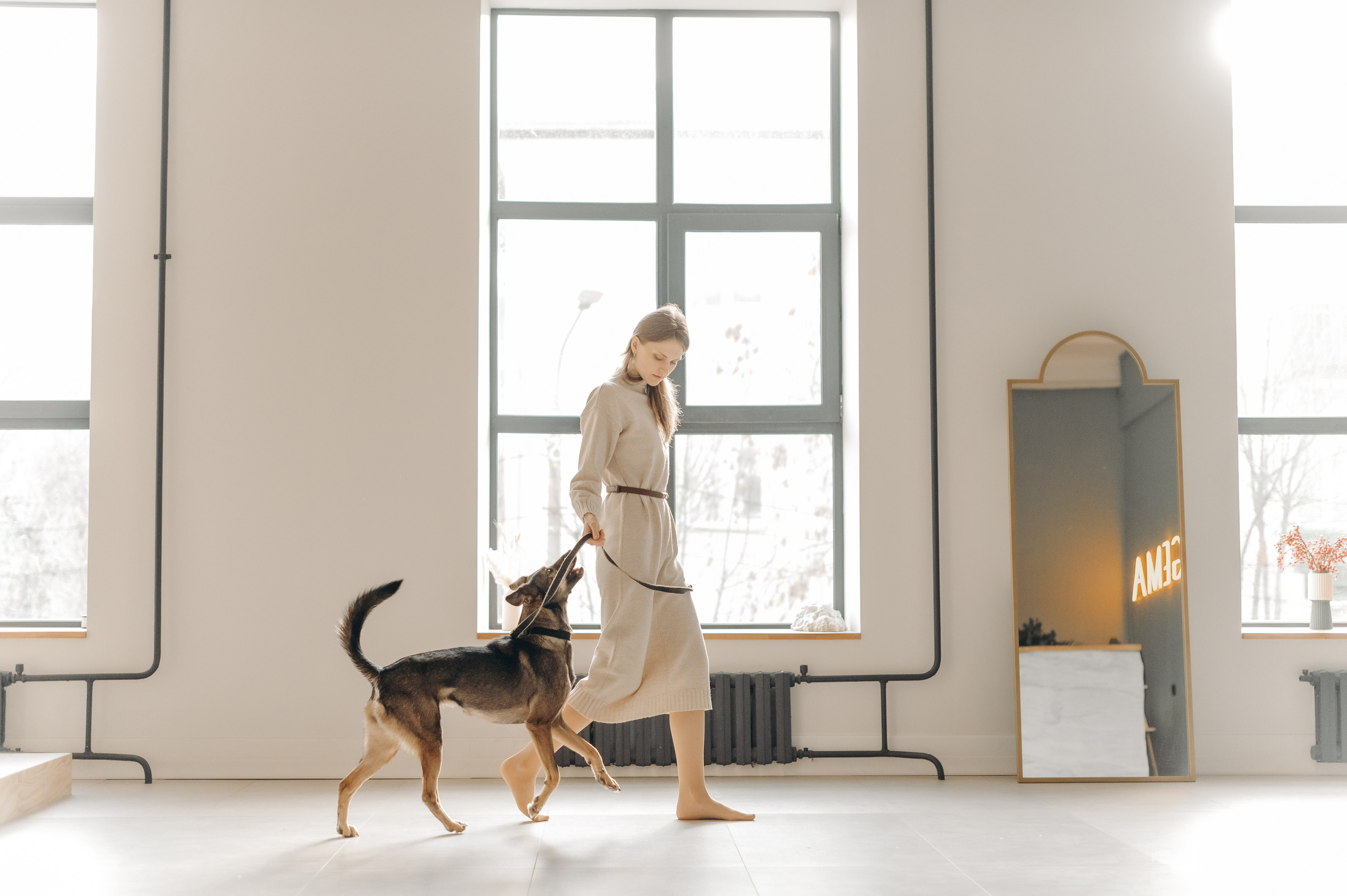 Анималистика. Главная