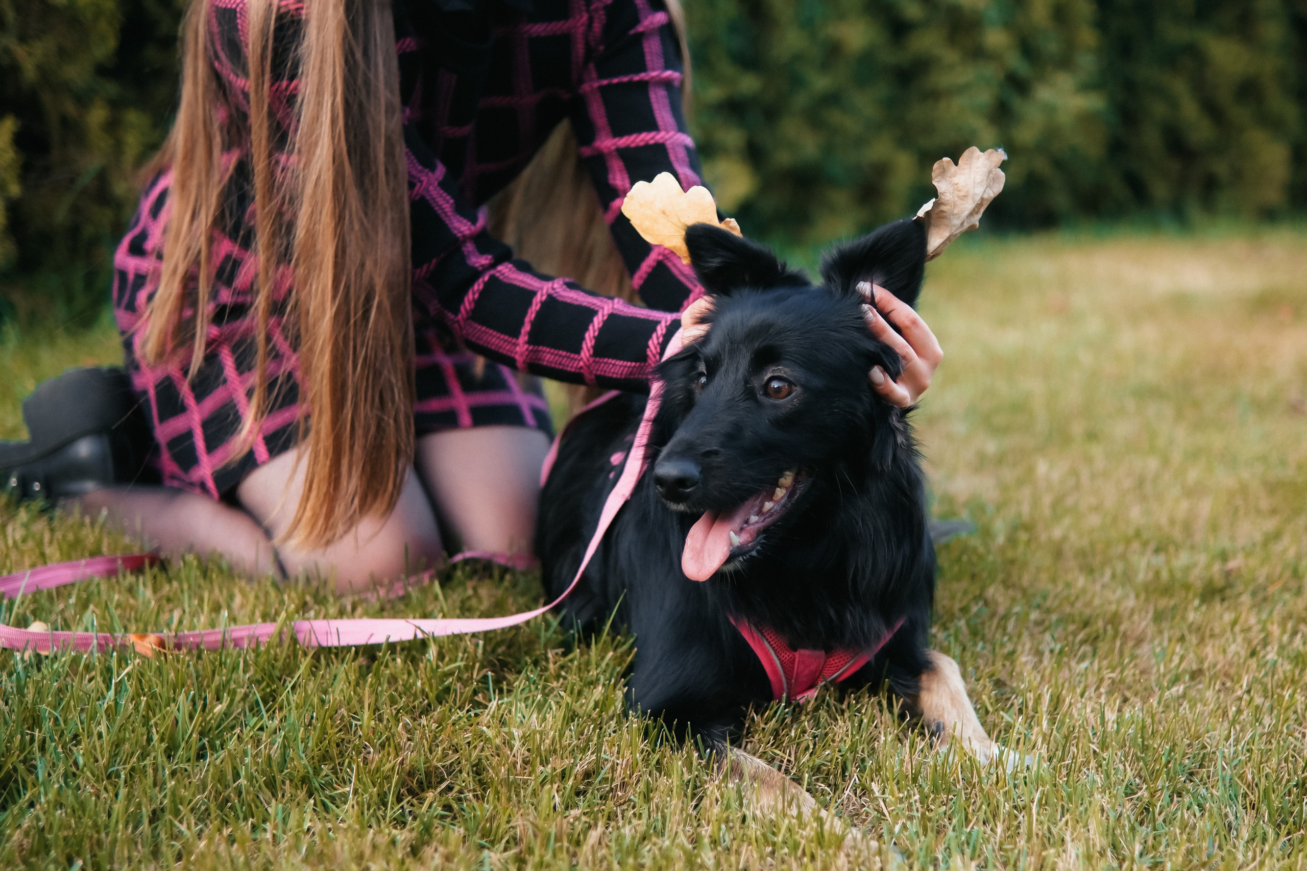 Наташа и Юня. Лена Фокина | Фотограф Смоленск