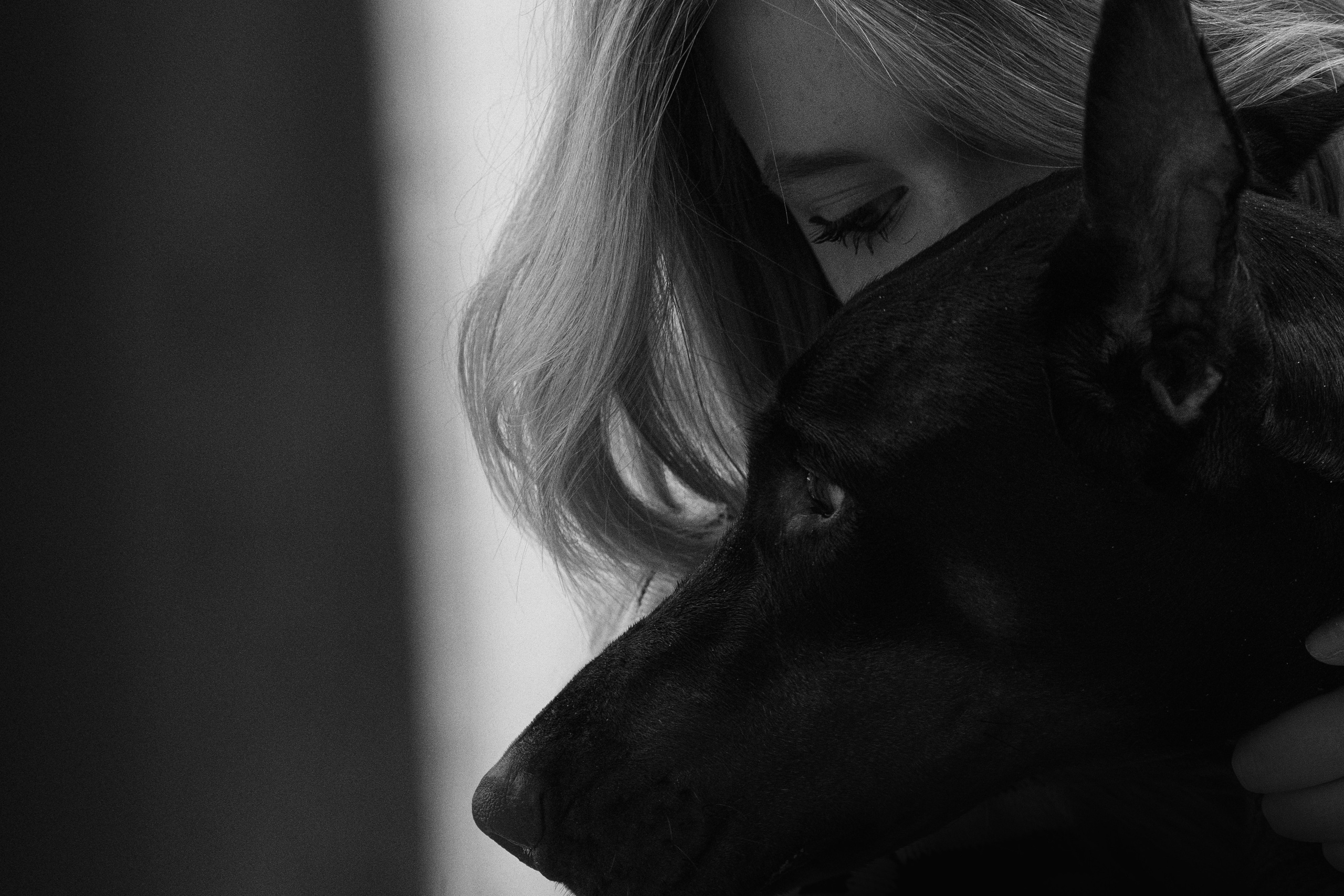 Саша и Асти. Фотограф анималист в Москве и Санкт-Петербурге Свиридова Анна