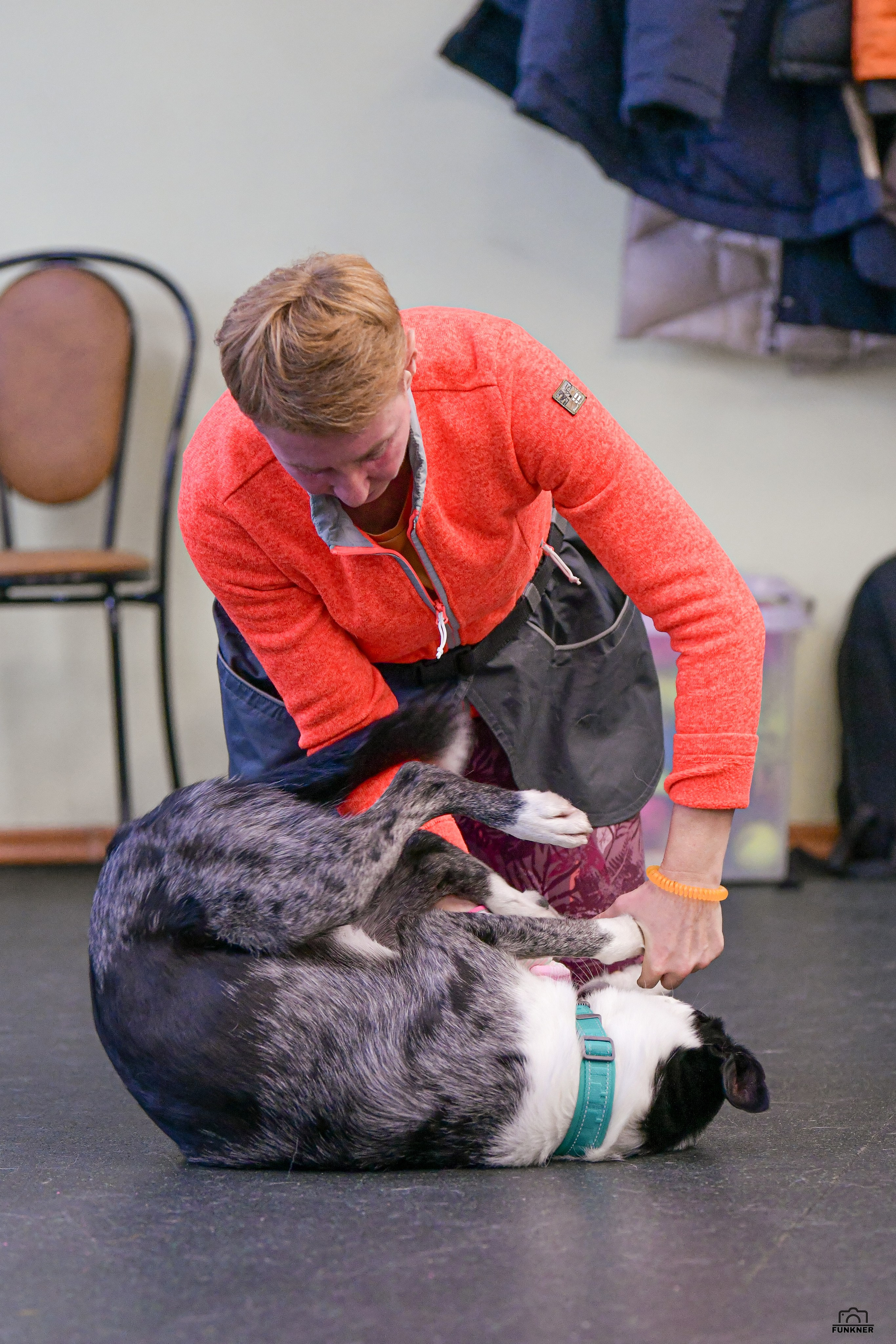 Кинологический клуб «Бодрый хвост». Свой взгляд через объектив