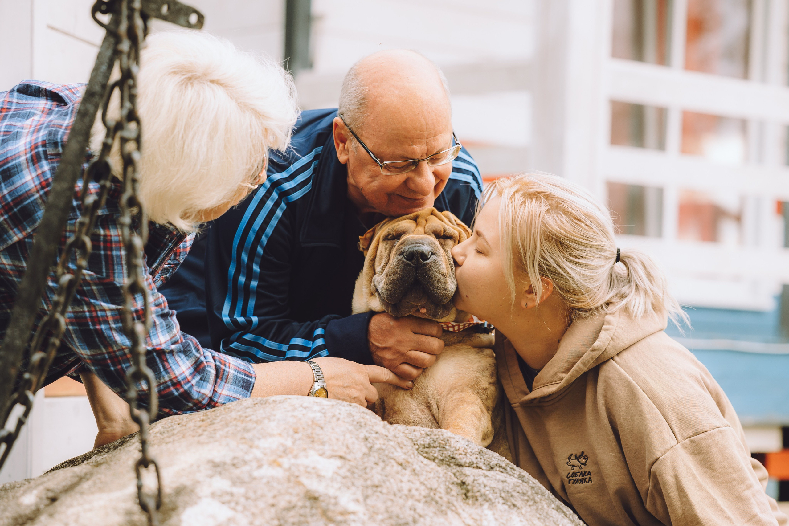 Выездной дог-тренинг от школы «Шерсть имею», Тованово