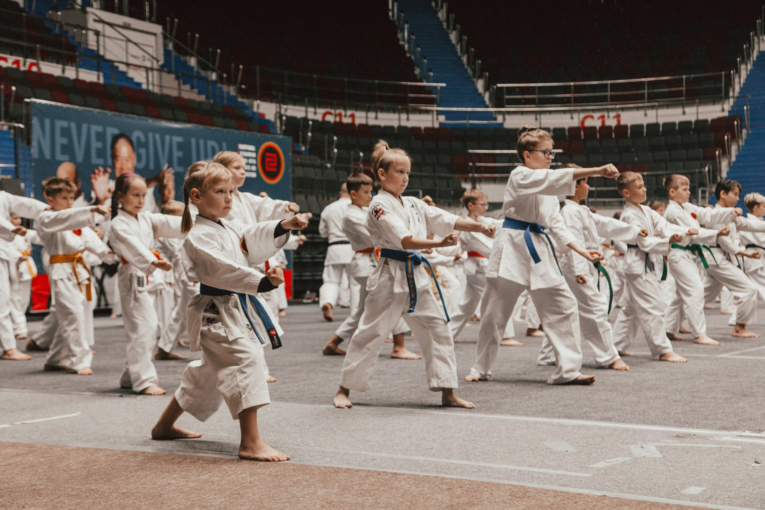 Международный сбор по каратэ в СКК «Сибур Арена». Репортажный фотограф во Всеволожске и Санкт-Петербурге Владимир Капустин
