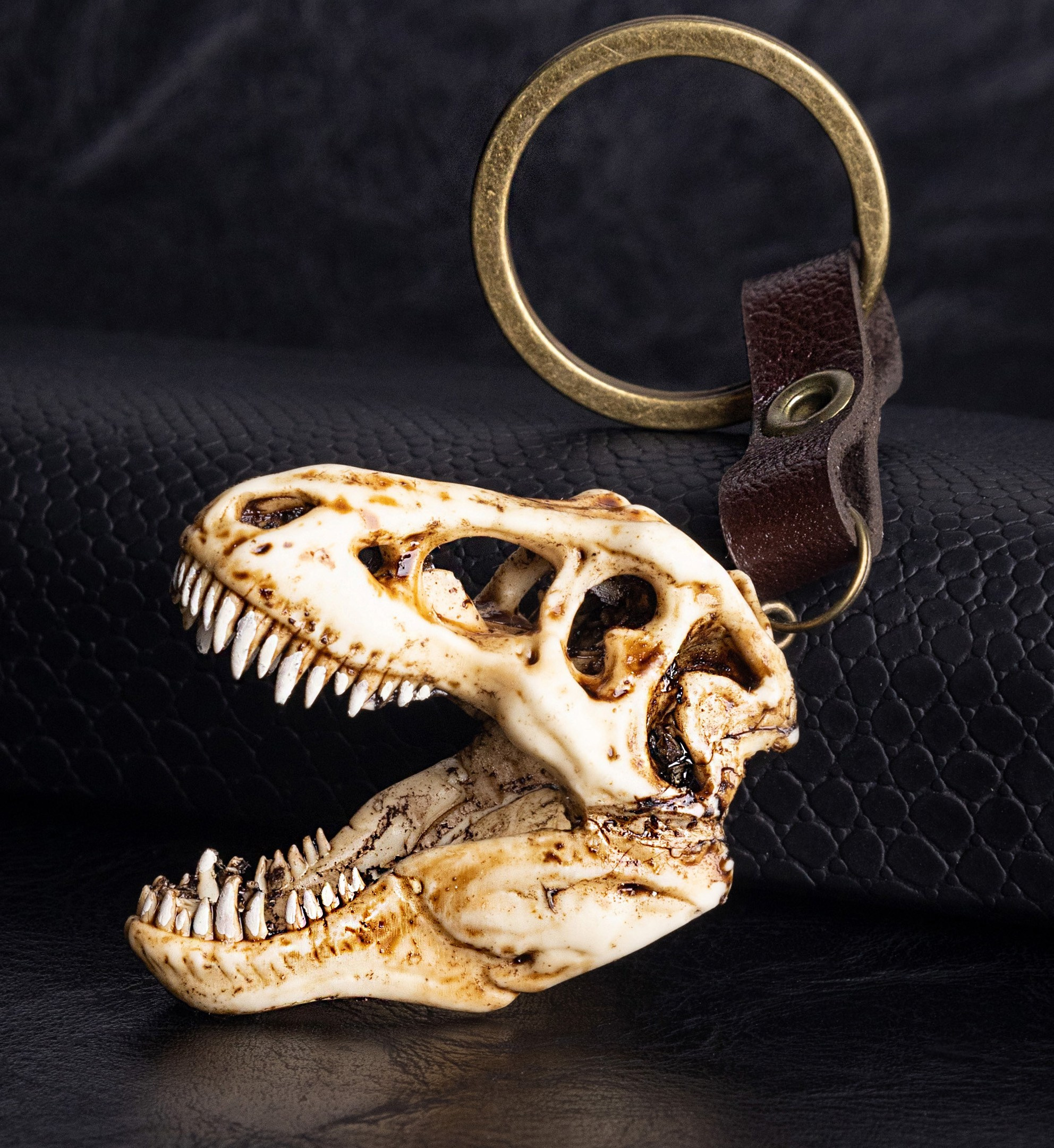 Череп рекса с бронзовым креплением | Фото для подарочного набора