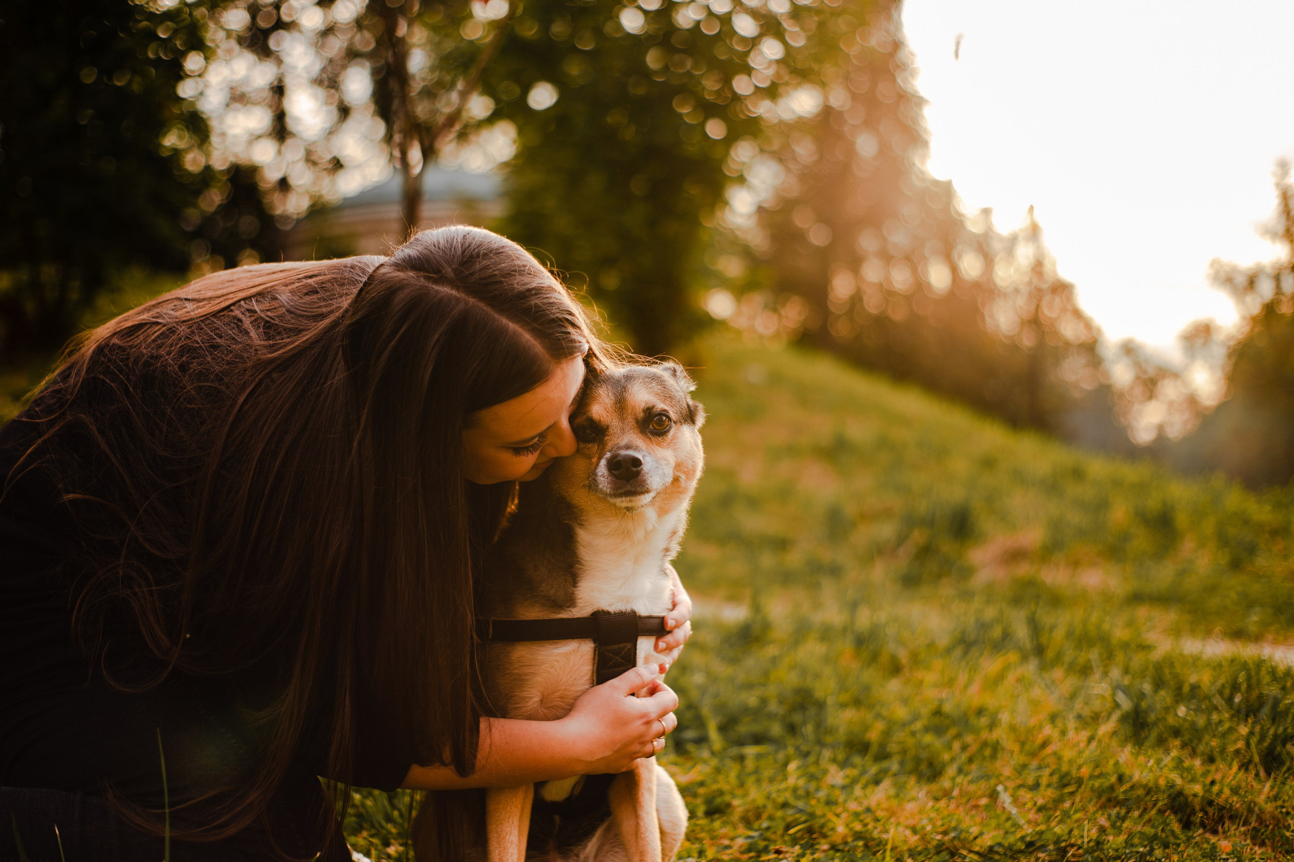 Виктория и Раф. Фотограф-анималист Мария Баркевич | Москва