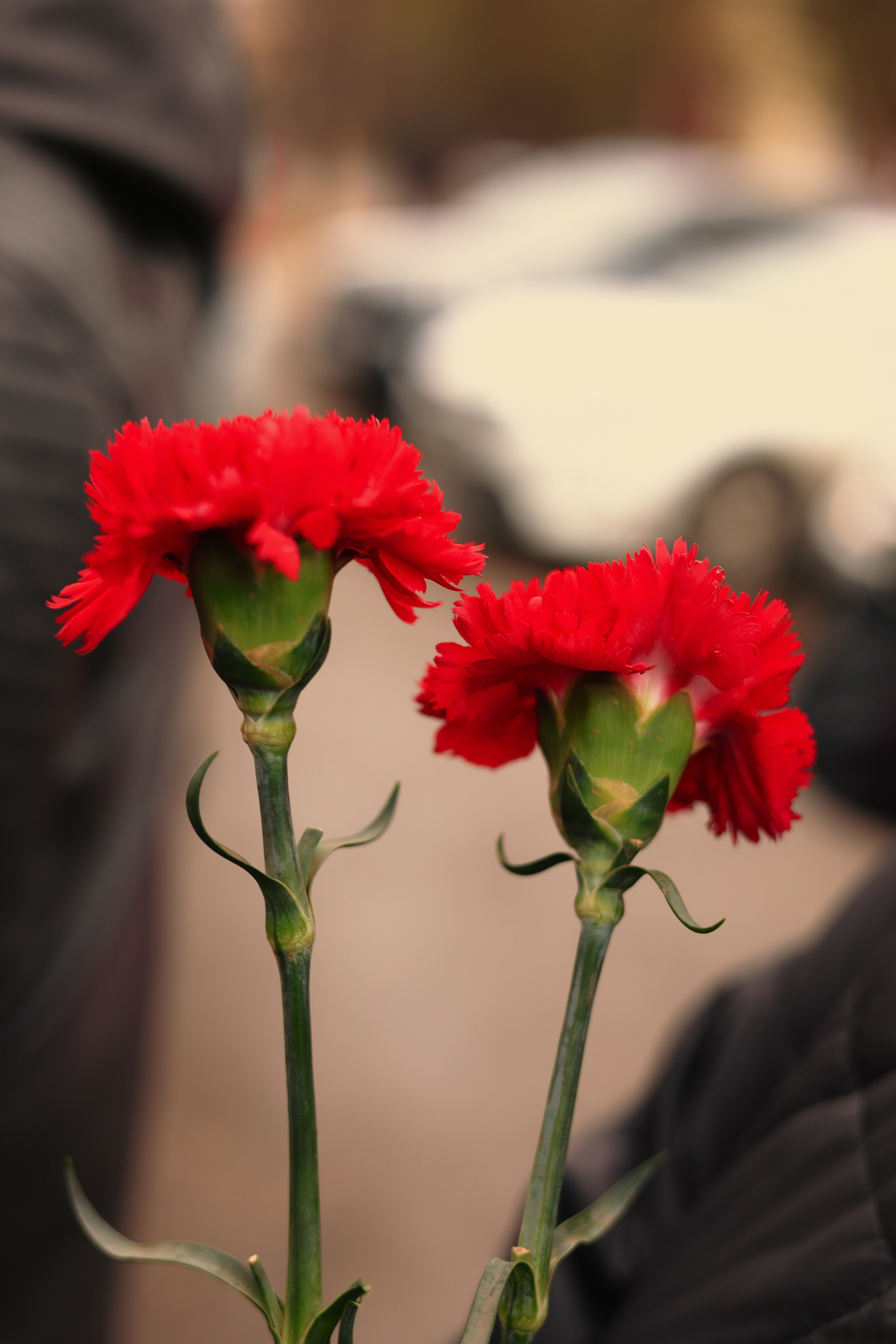 9 мая — «Родной дом». Фотограф в городе Киров Денис Вербин