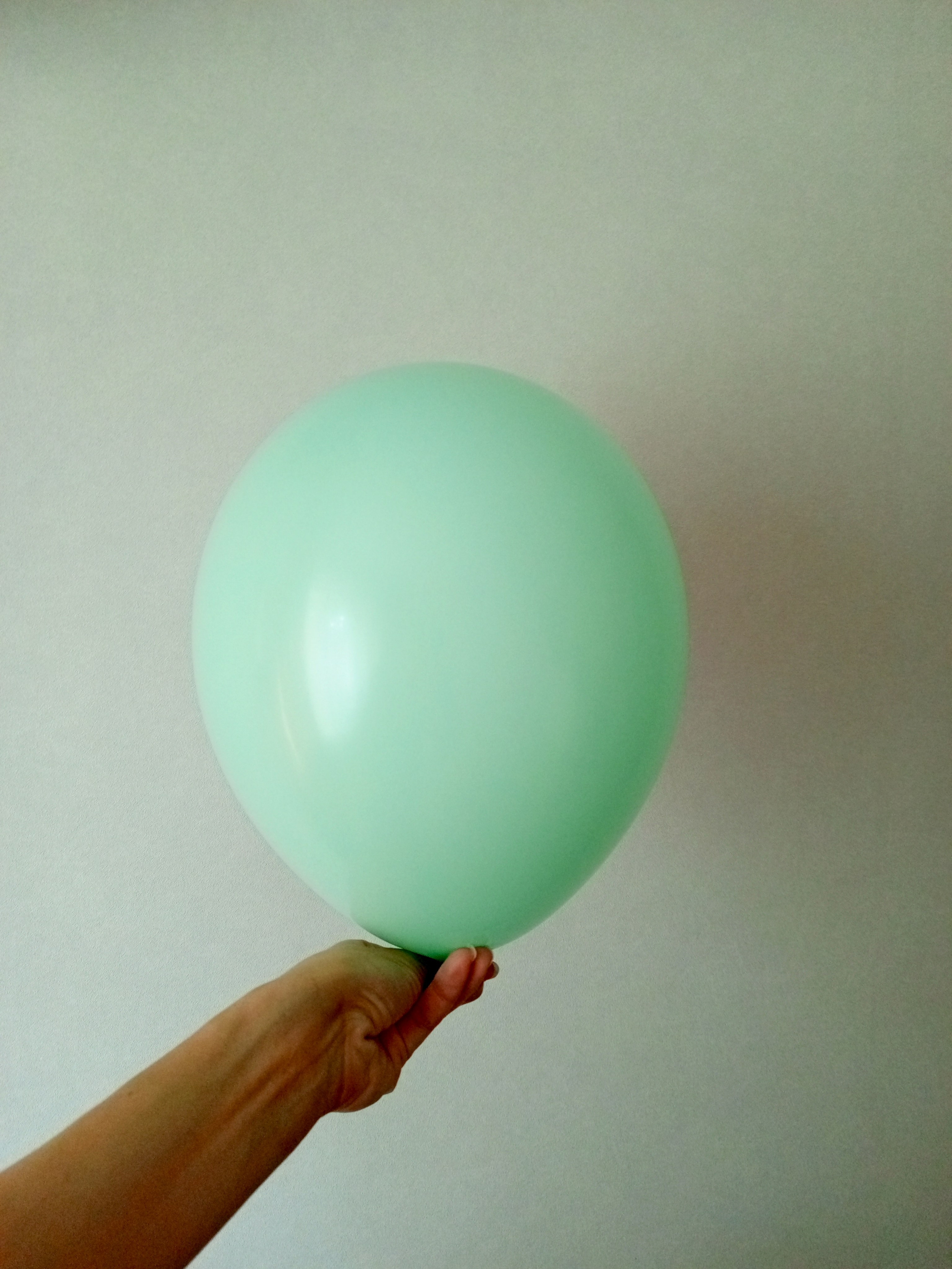 Шары без рисунка латексные. Аэродизайнер Елена Лин