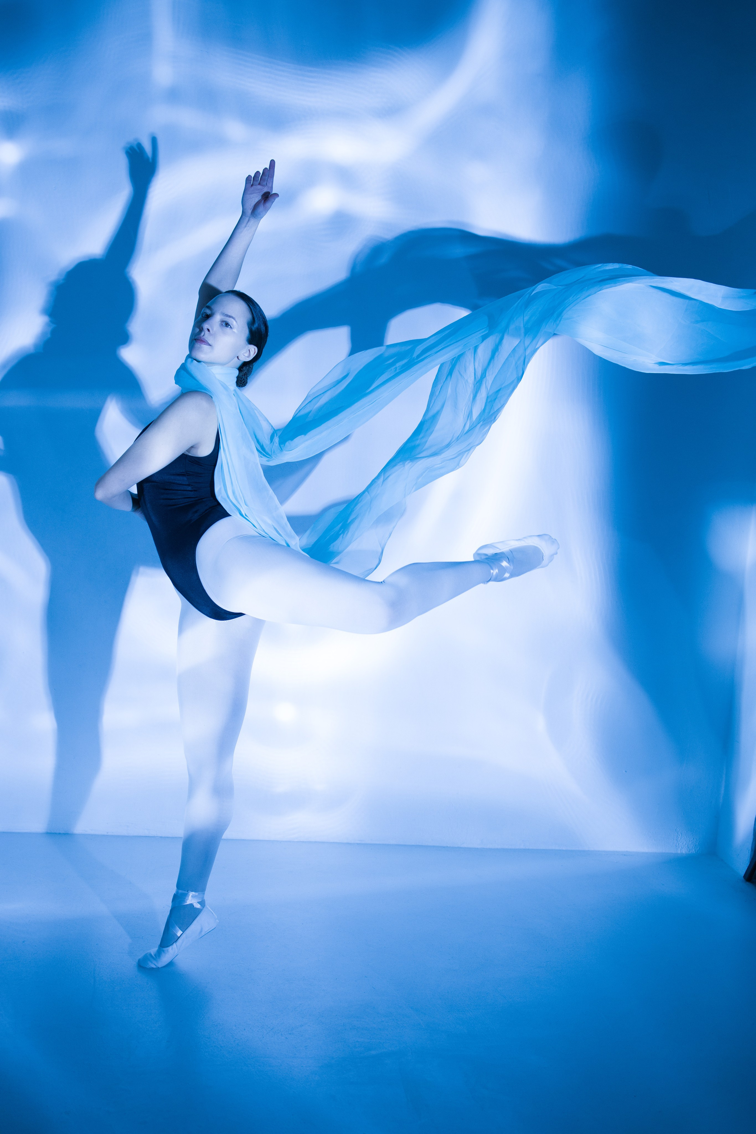 Лилия. Художественная фотография