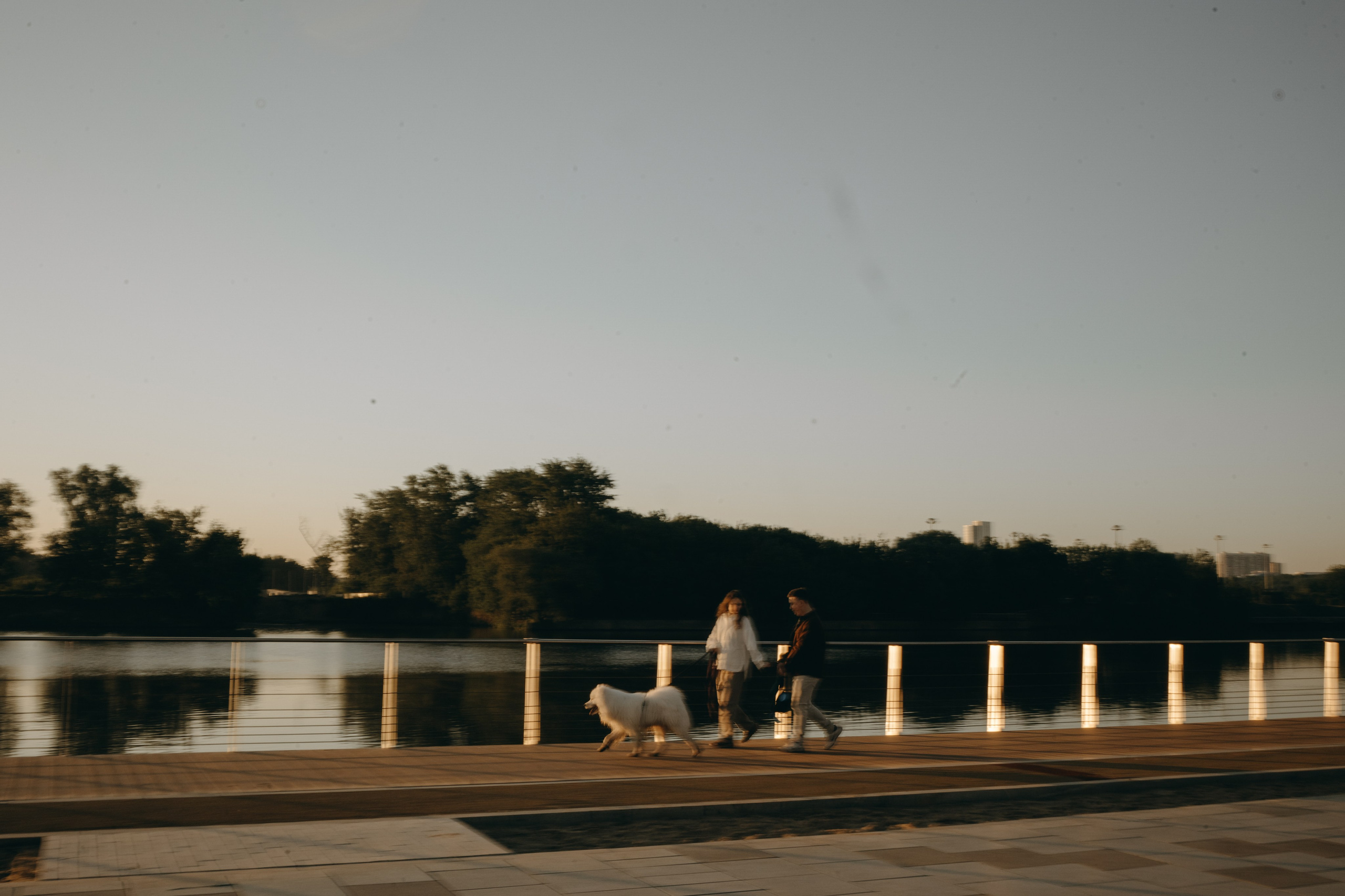 Танго и его семья. Фотограф — Анималист | Санкт-Петербург