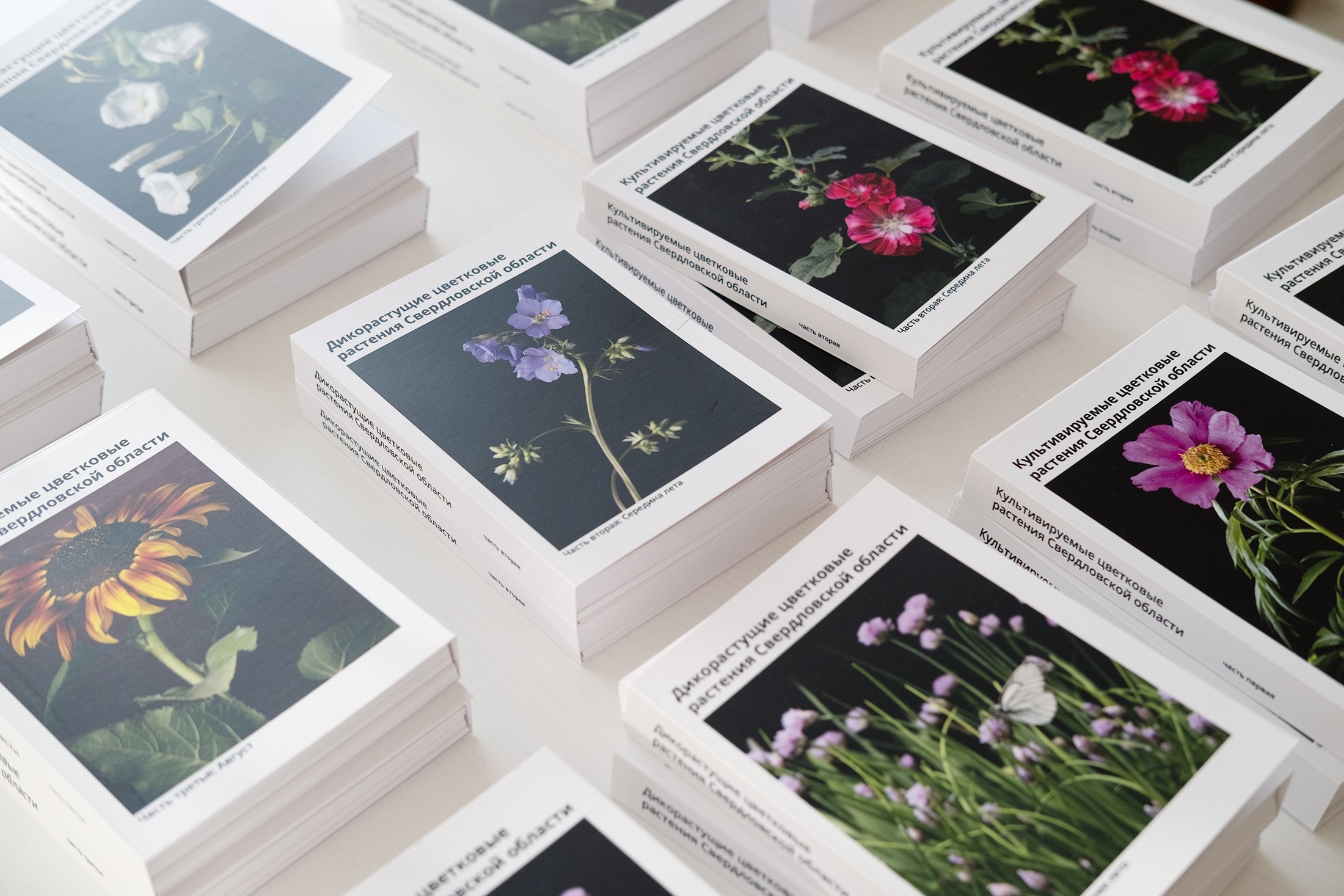 Открытки. Natalia Longi