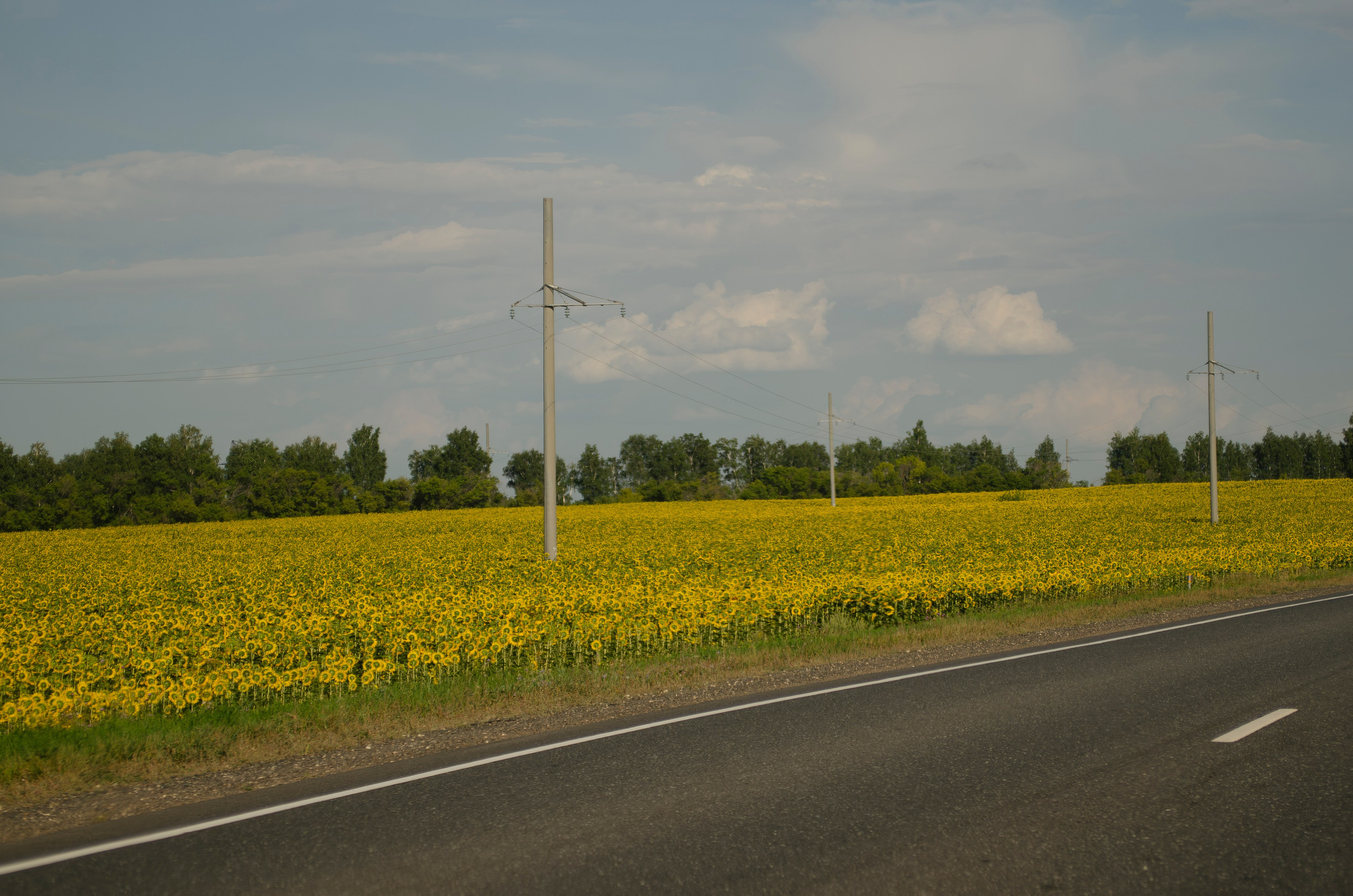 Пейзажи. Sreda fotoArt