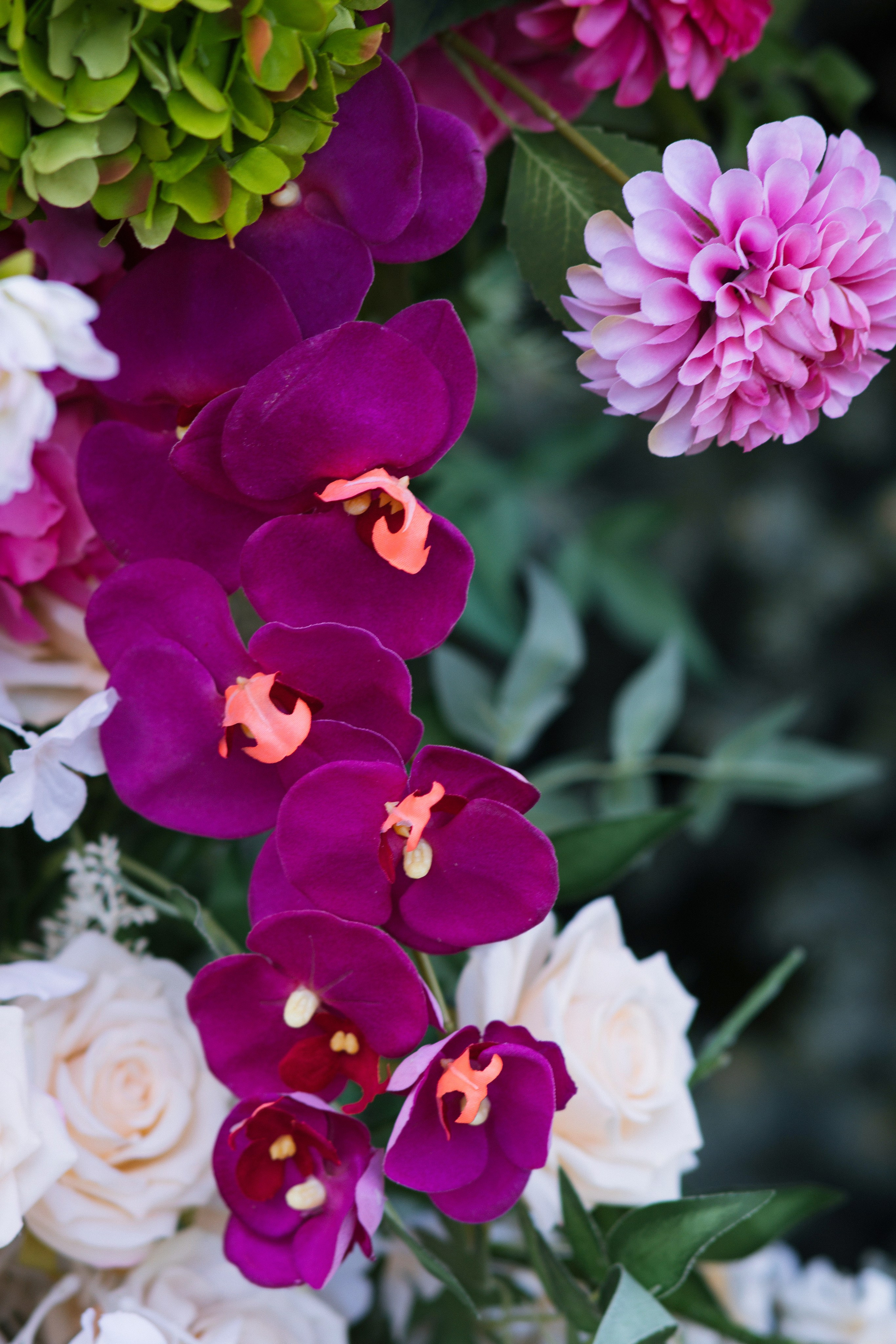 M ❤ D. Syrovatkina_Photographer.ru