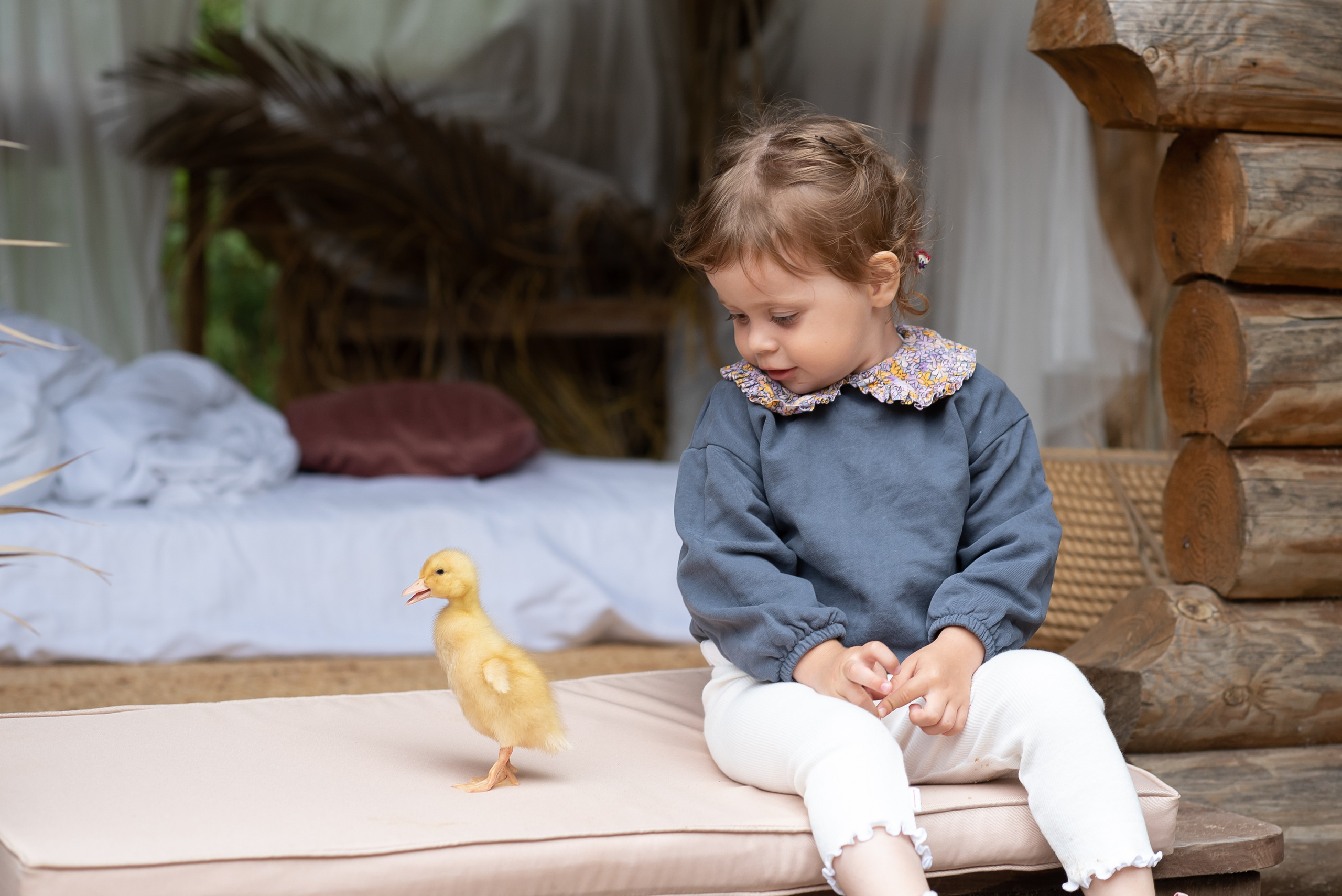 Фотостудия Лес Чудес. Фотограф Мария Усманова, Казань