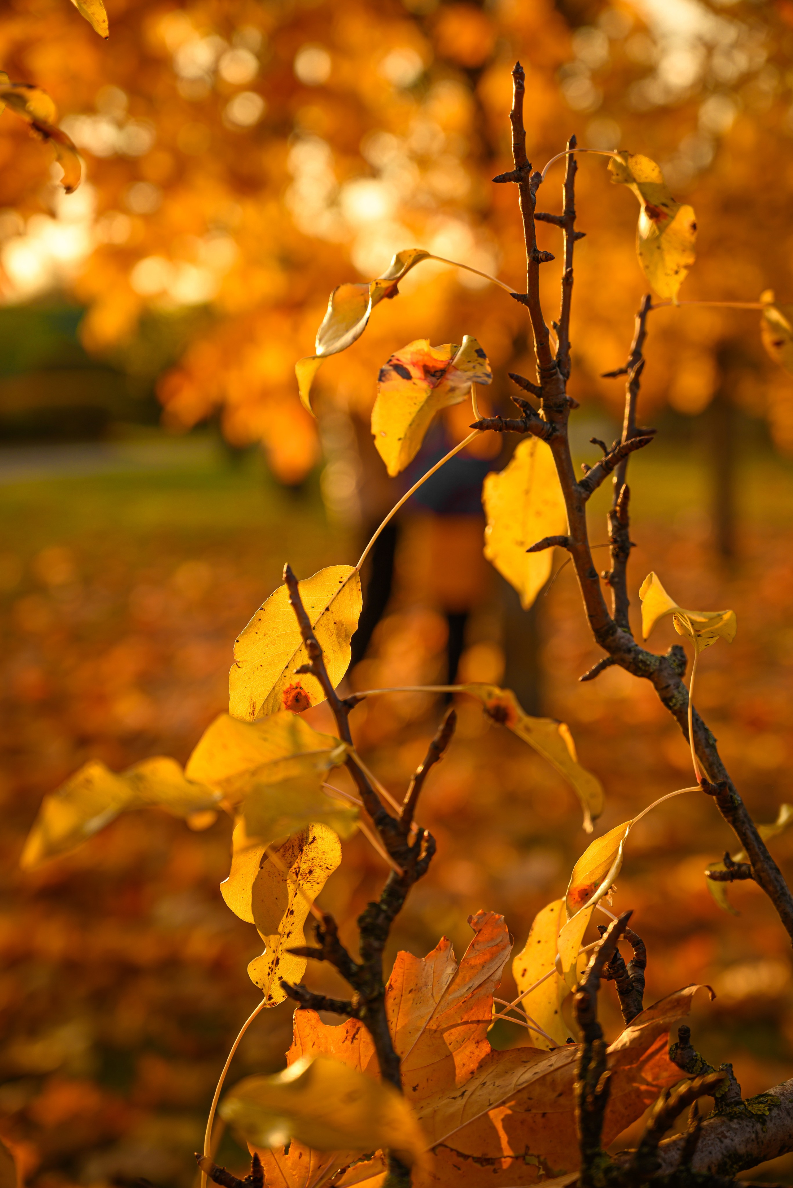 Места. Фотограф в Минске Дарья Кончакова