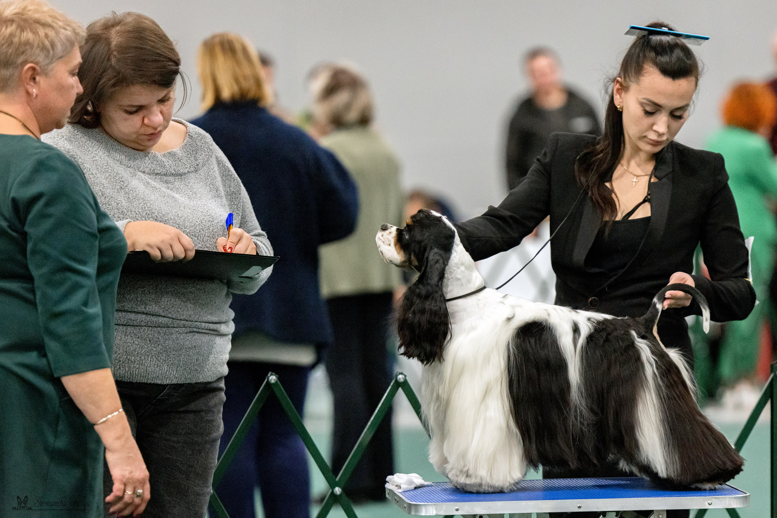 Сфера 29.10,Крокус 4.11,Сфера 12.11.2023. Фотограф-анималист Юлия Германика
