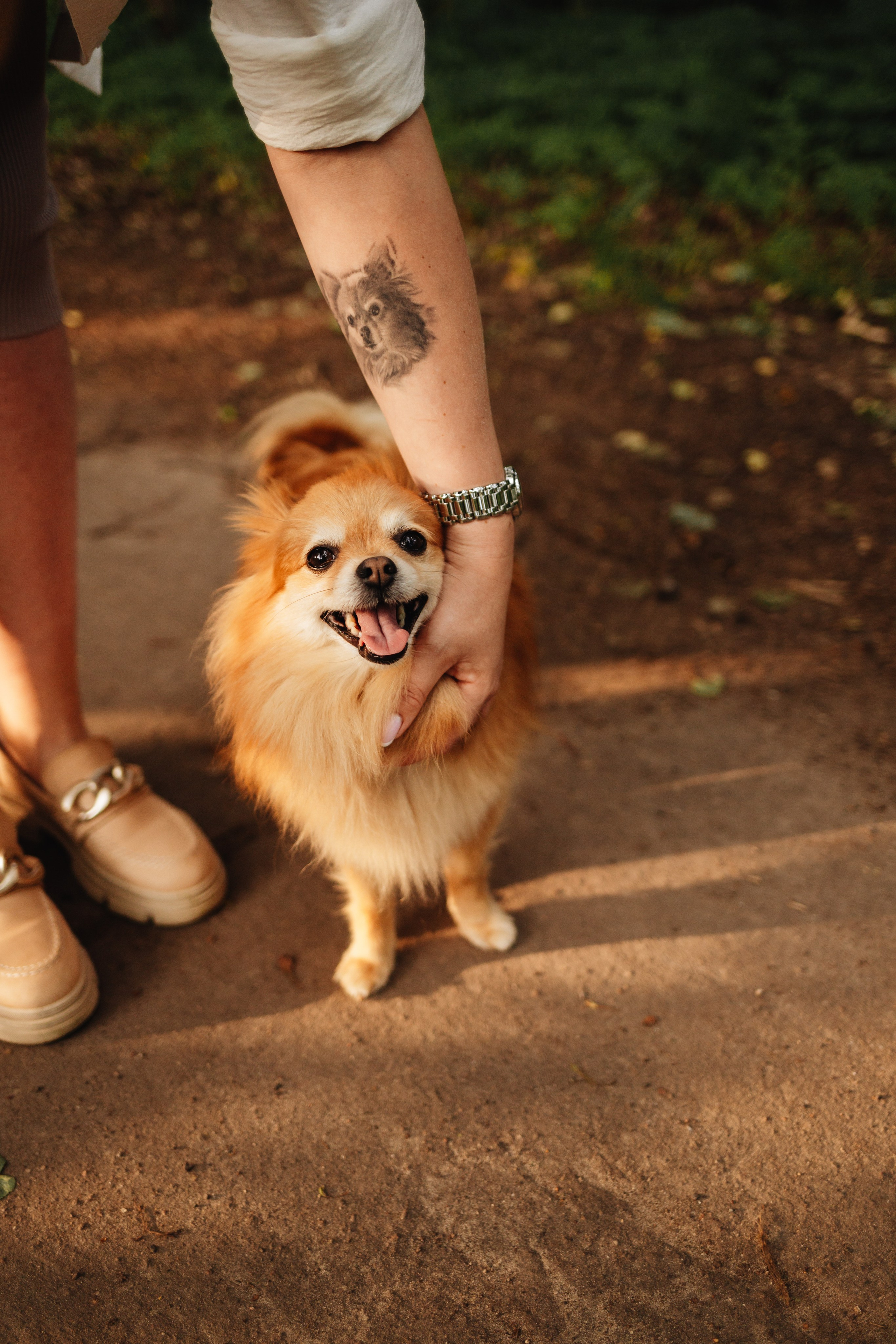 Вова и Марина, в ожидании. Семейный фотограф Юлия Клишина