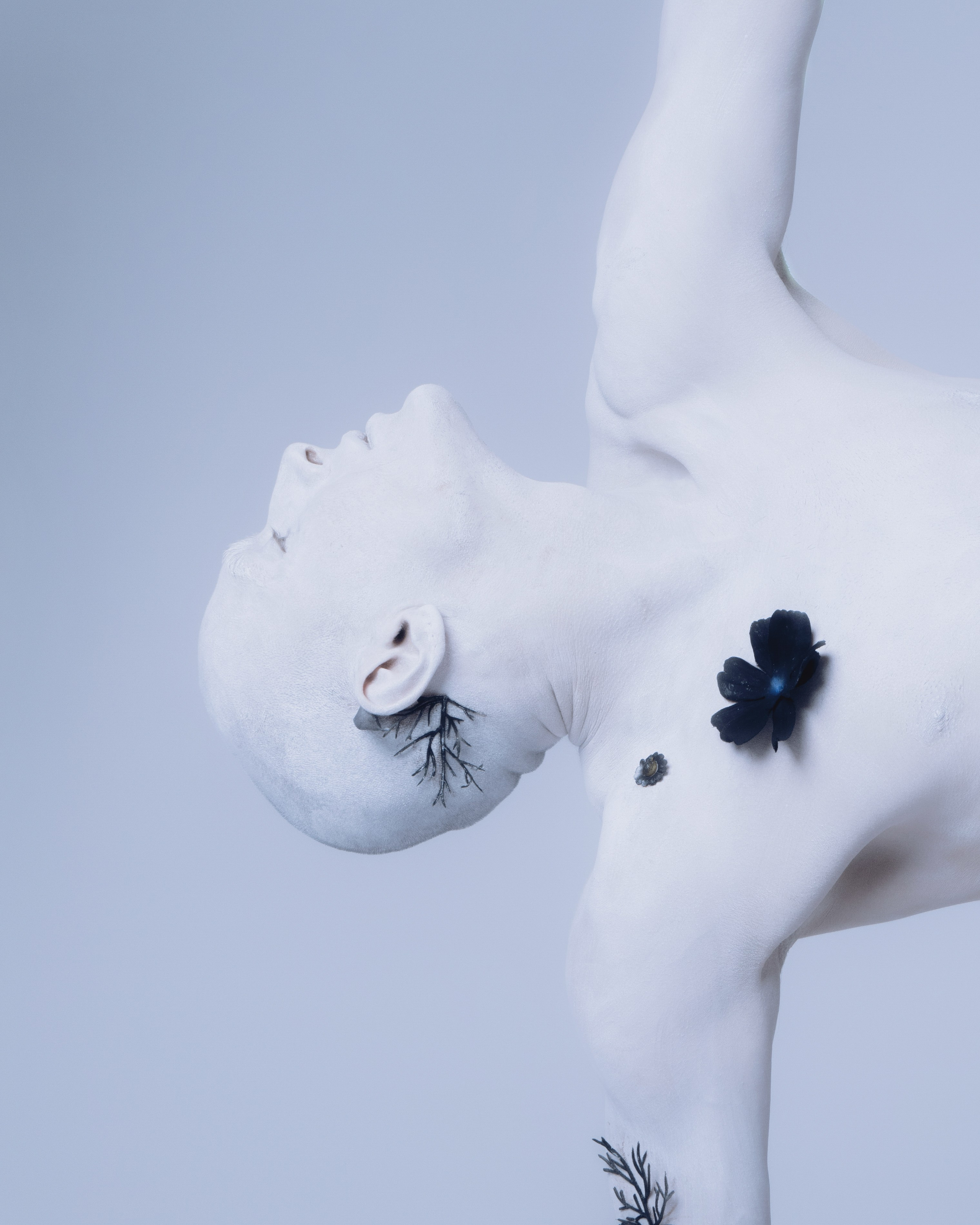 SASHA PERTSEV. Фотограф