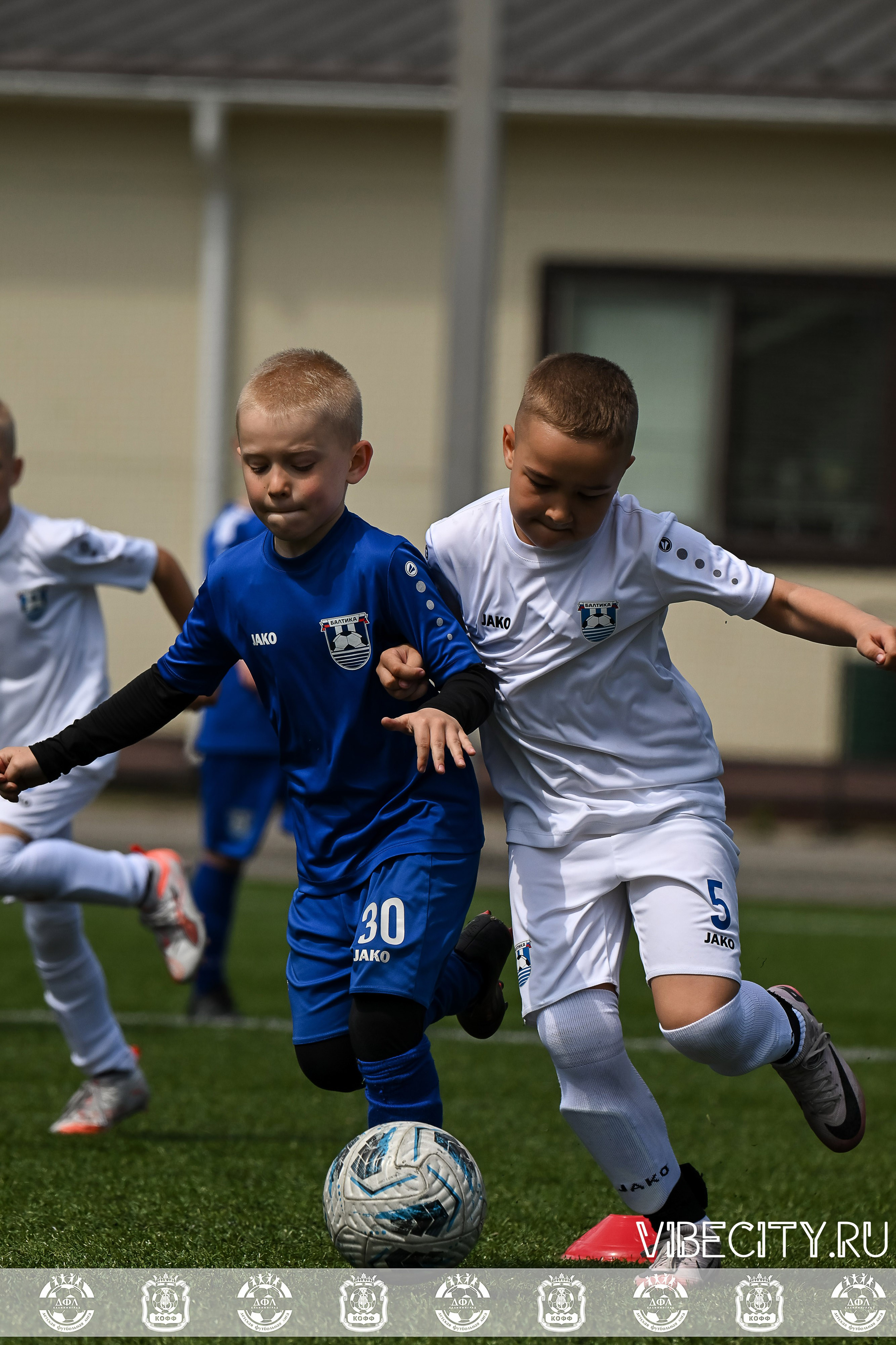 Большие Звезды светят Малым. VIBECITY.RU Вайб Сити Ру Фоторепортажи Фотоотчеты Калининград