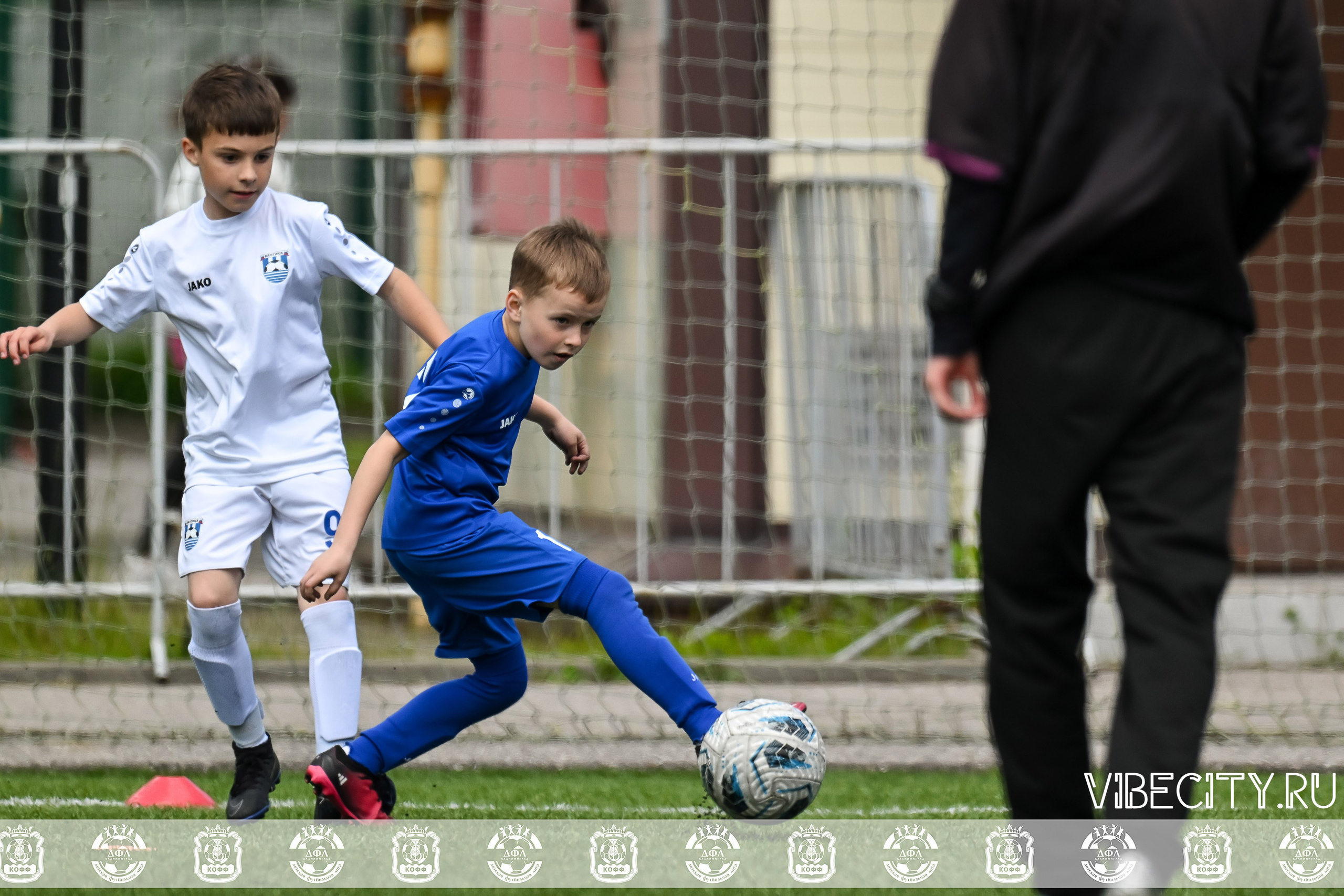 Большие Звезды светят Малым. VIBECITY.RU Вайб Сити Ру Фоторепортажи Фотоотчеты Калининград