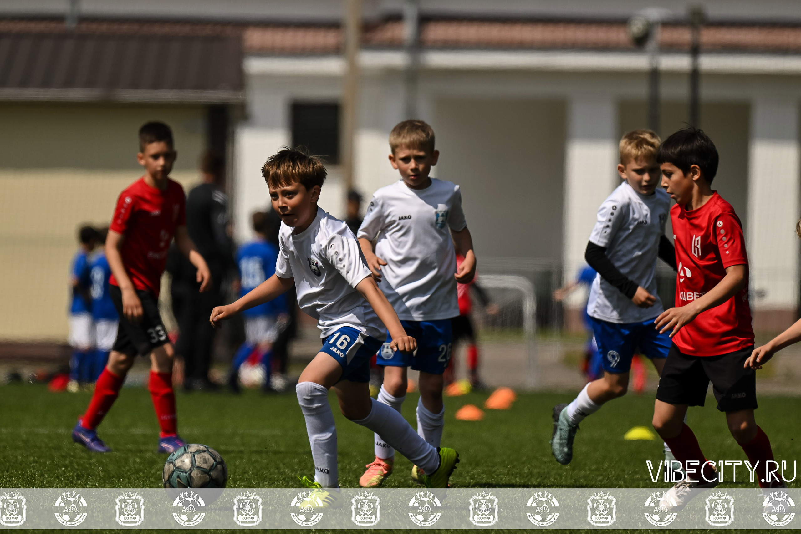 Большие Звезды светят Малым. VIBECITY.RU Вайб Сити Ру Фоторепортажи Фотоотчеты Калининград