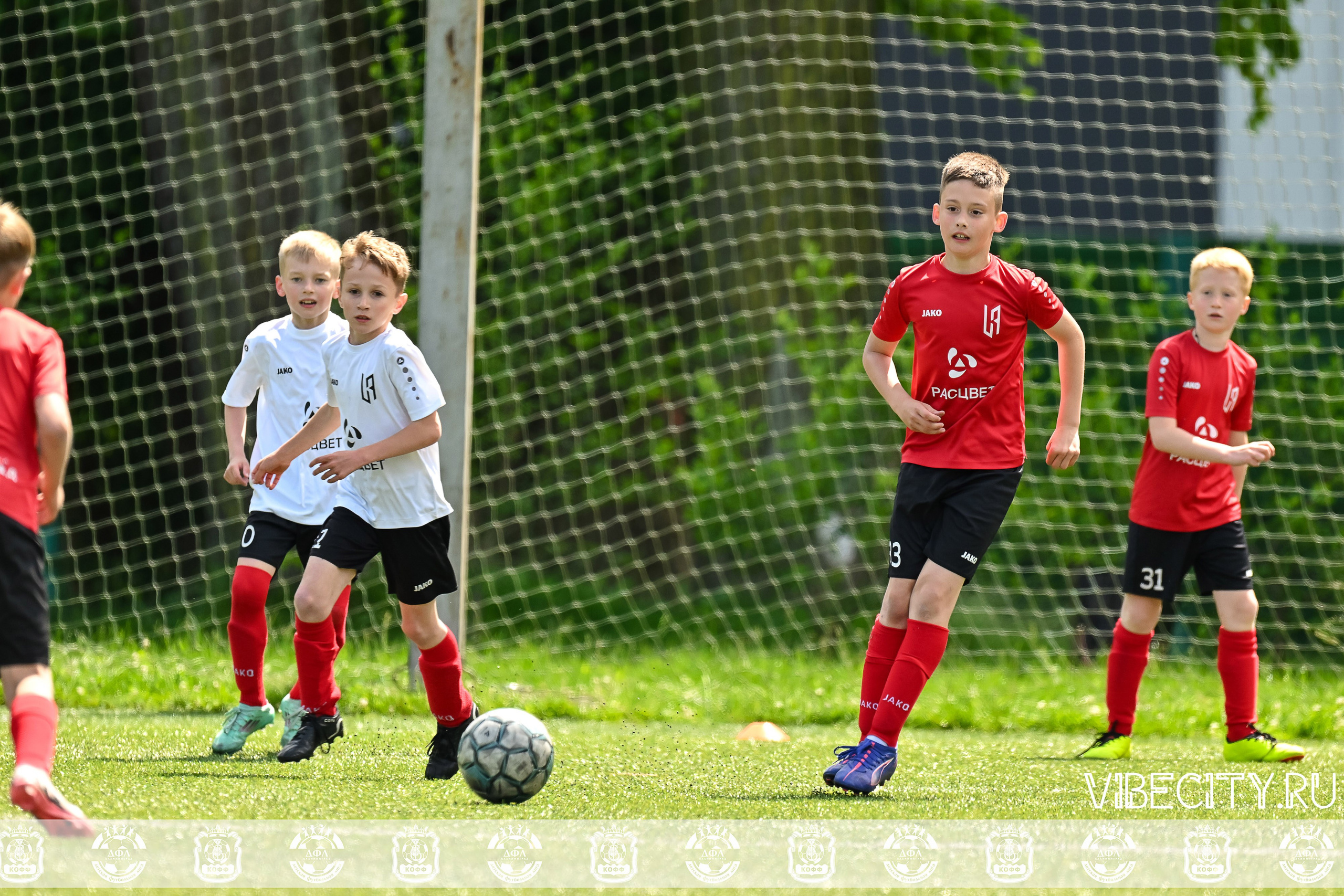 Большие Звезды светят Малым. VIBECITY.RU Вайб Сити Ру Фоторепортажи Фотоотчеты Калининград