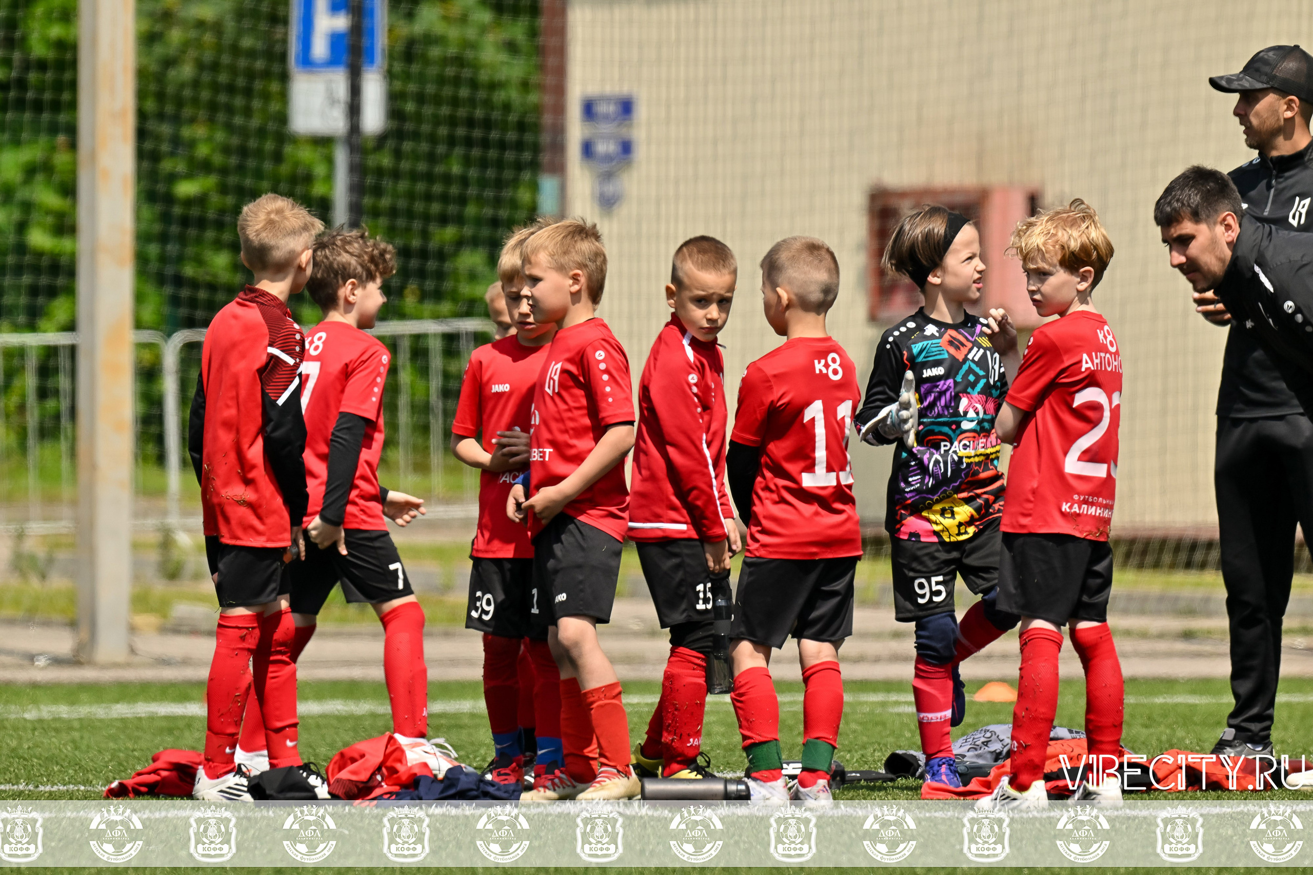 Большие Звезды светят Малым. VIBECITY.RU Вайб Сити Ру Фоторепортажи Фотоотчеты Калининград