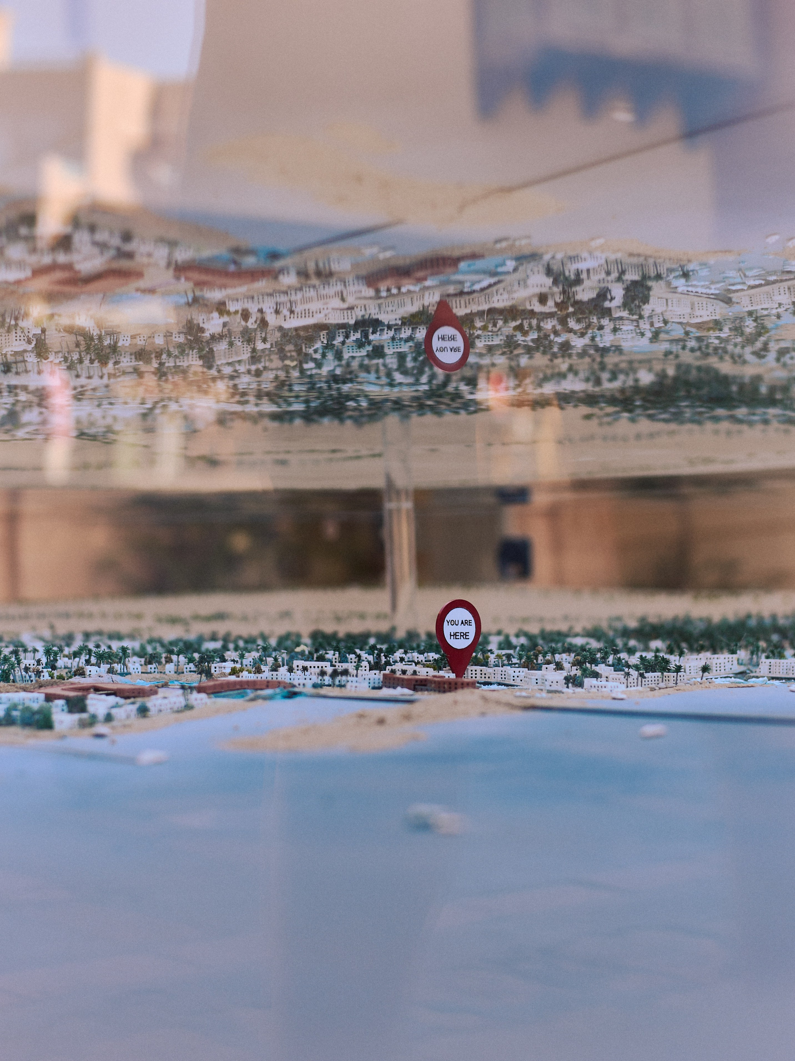 Другое 4. Jorgis — фотограф в Хургаде / обучение фотографии