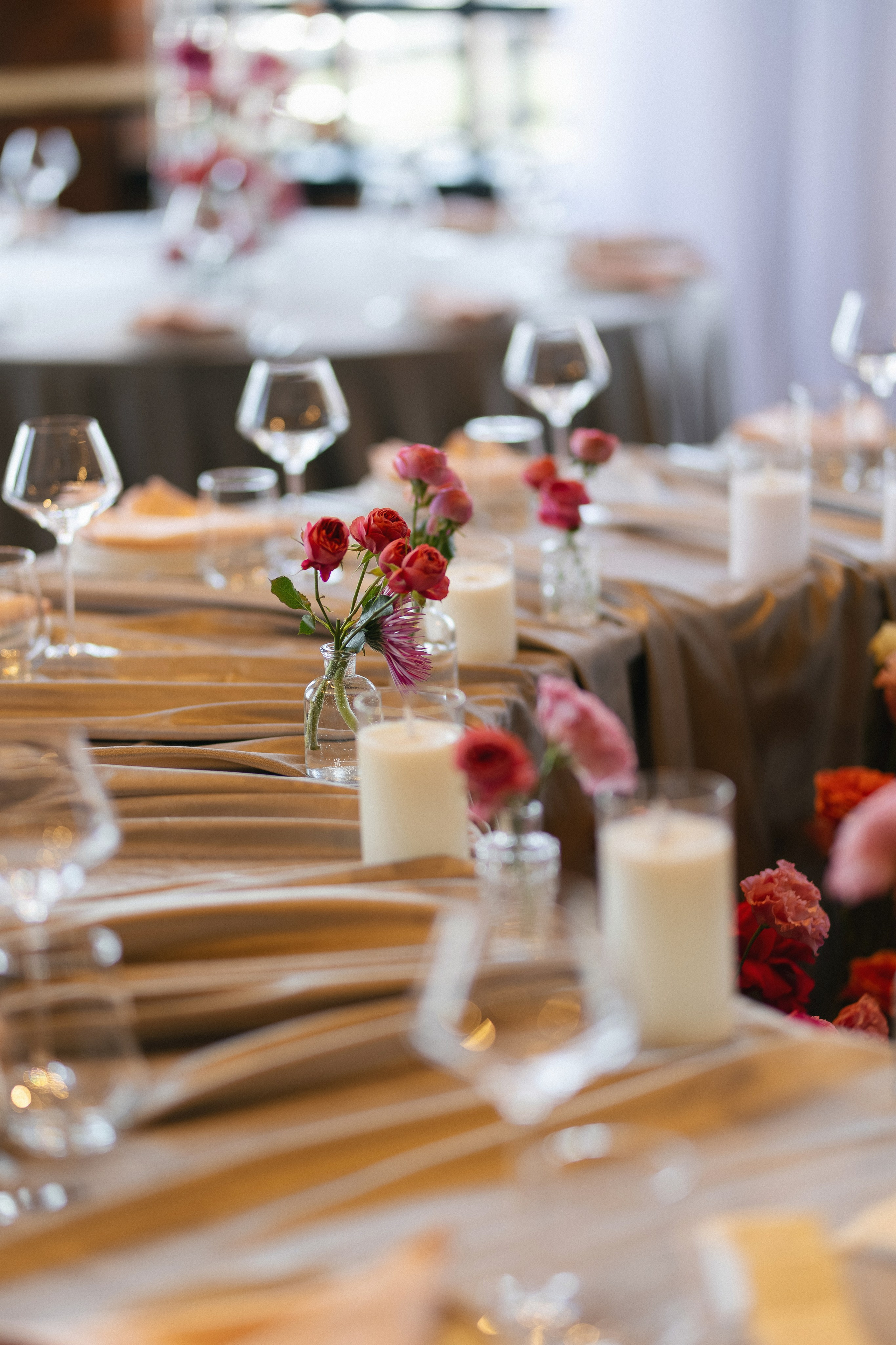 «СИЛА ПРИТЯЖЕНИЯ». Maria Startseva Photo