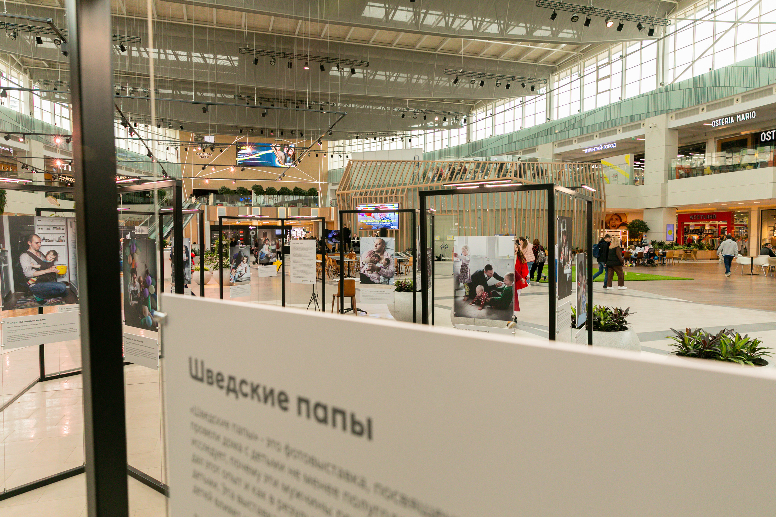 MEGA «Шведские Папы». Дима Колес / фото и видео съёмка в Москве