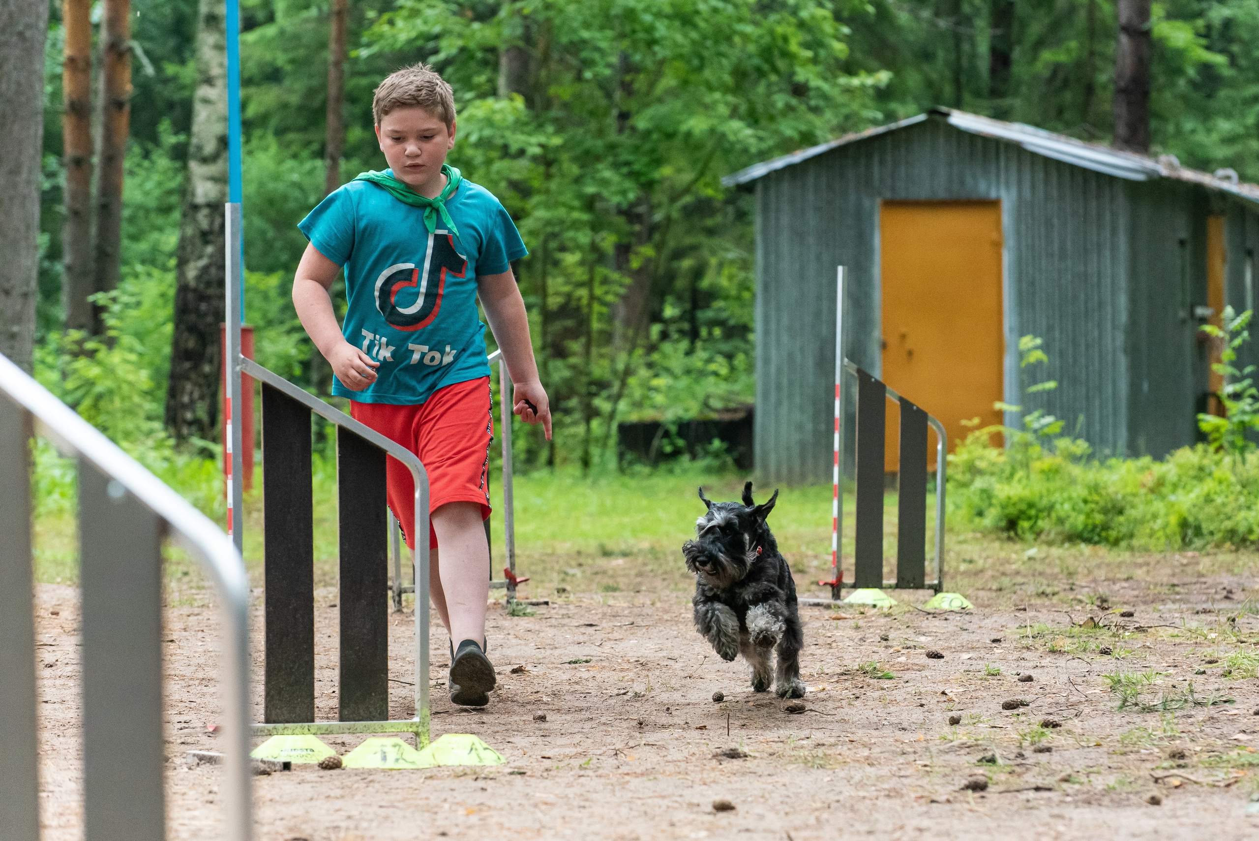 Хвостатые каникулы Детский кинологический лагерь. Фотограф Макс Огурцов в Нижнем Новгороде