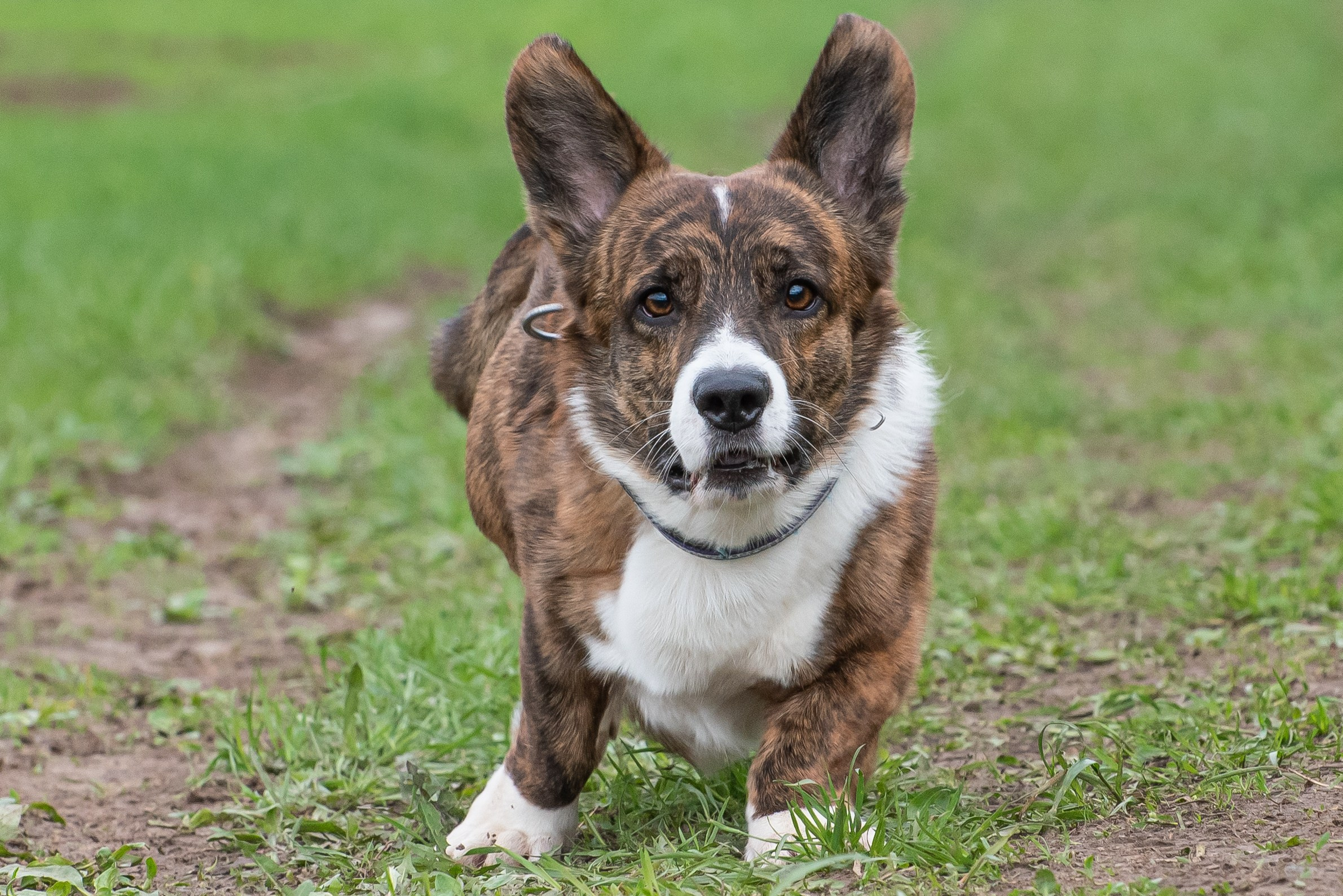 Фотографии с Курсинга. Фотограф Макс Огурцов в Нижнем Новгороде