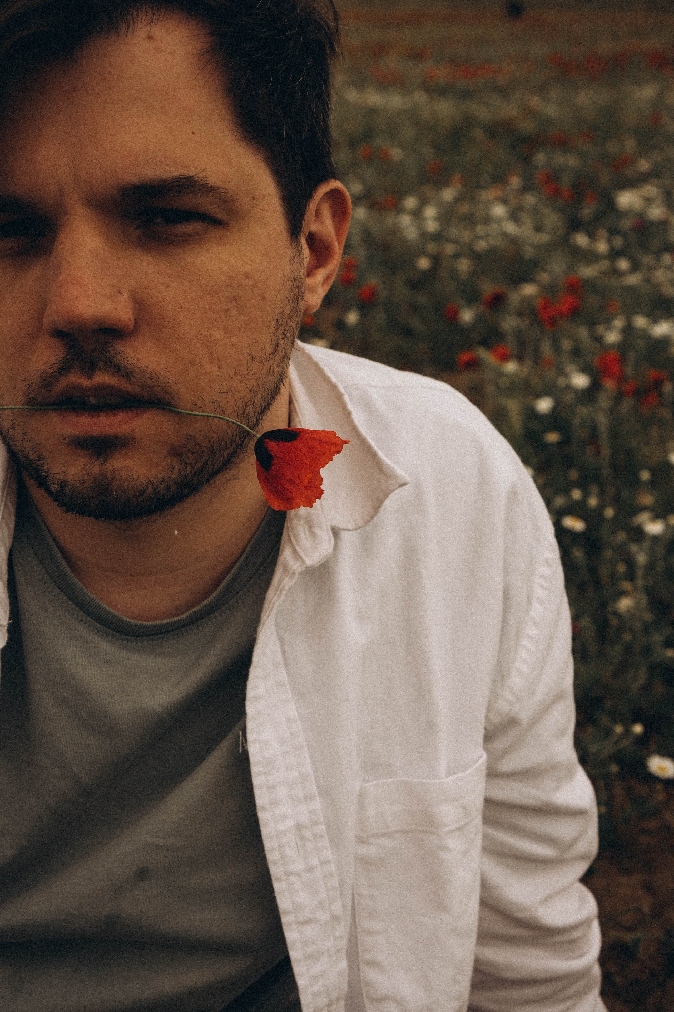 Маки. Профессиональный фотограф, Санкт-Петербург — Виктория Богомолова