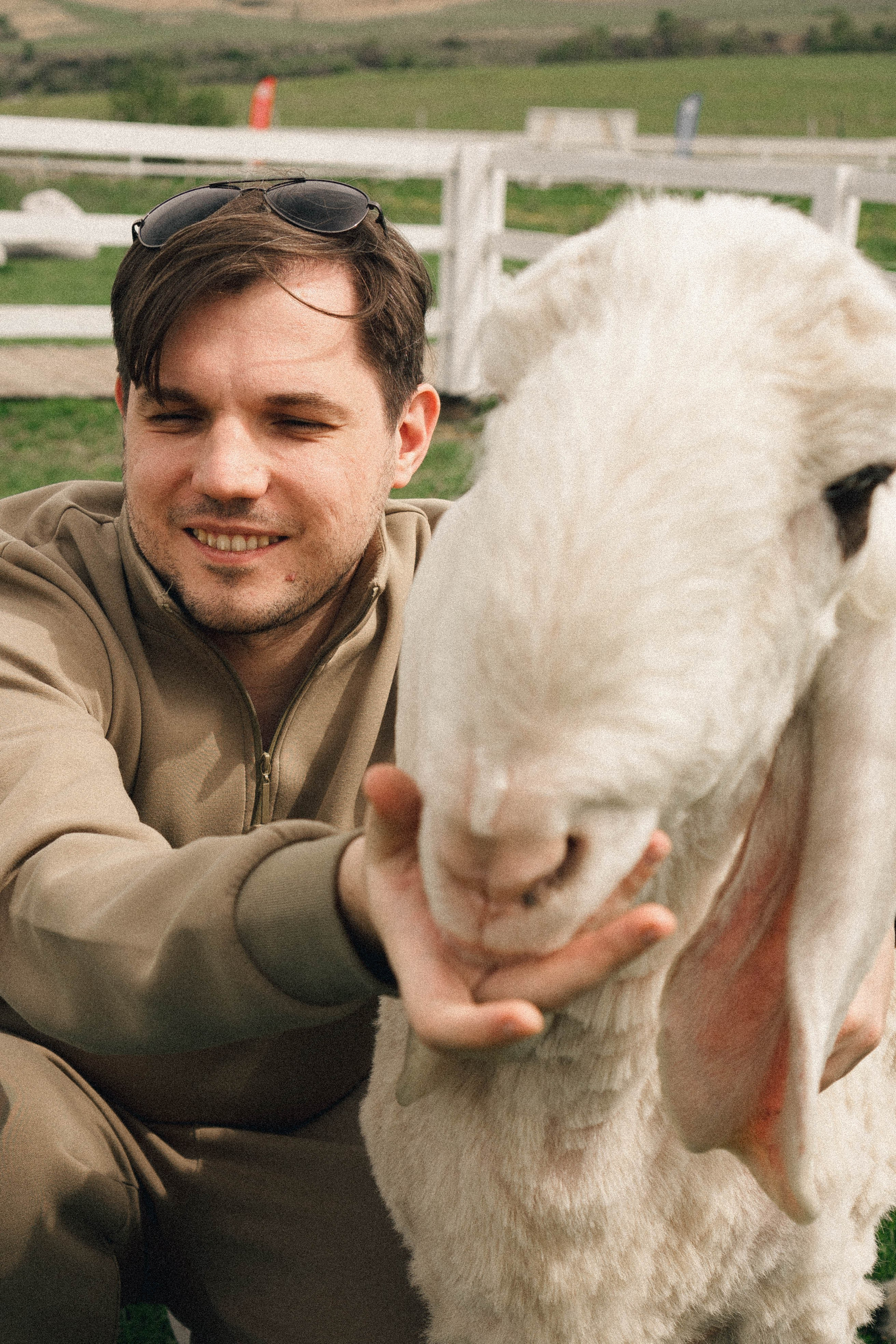 Ферма Альпак. Профессиональный фотограф, Санкт-Петербург — Виктория Богомолова